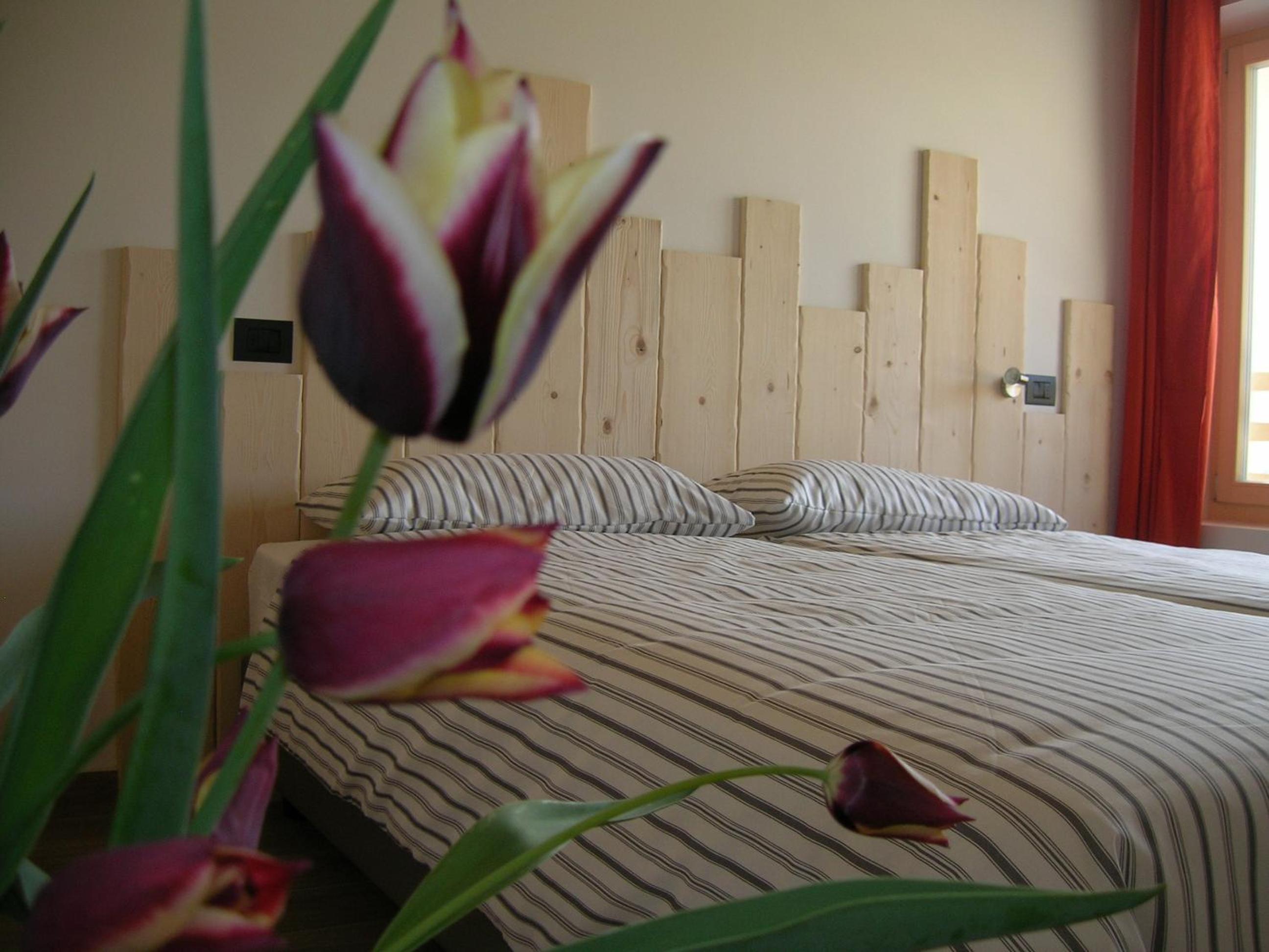 Double Room with Mountain View - Photo 1