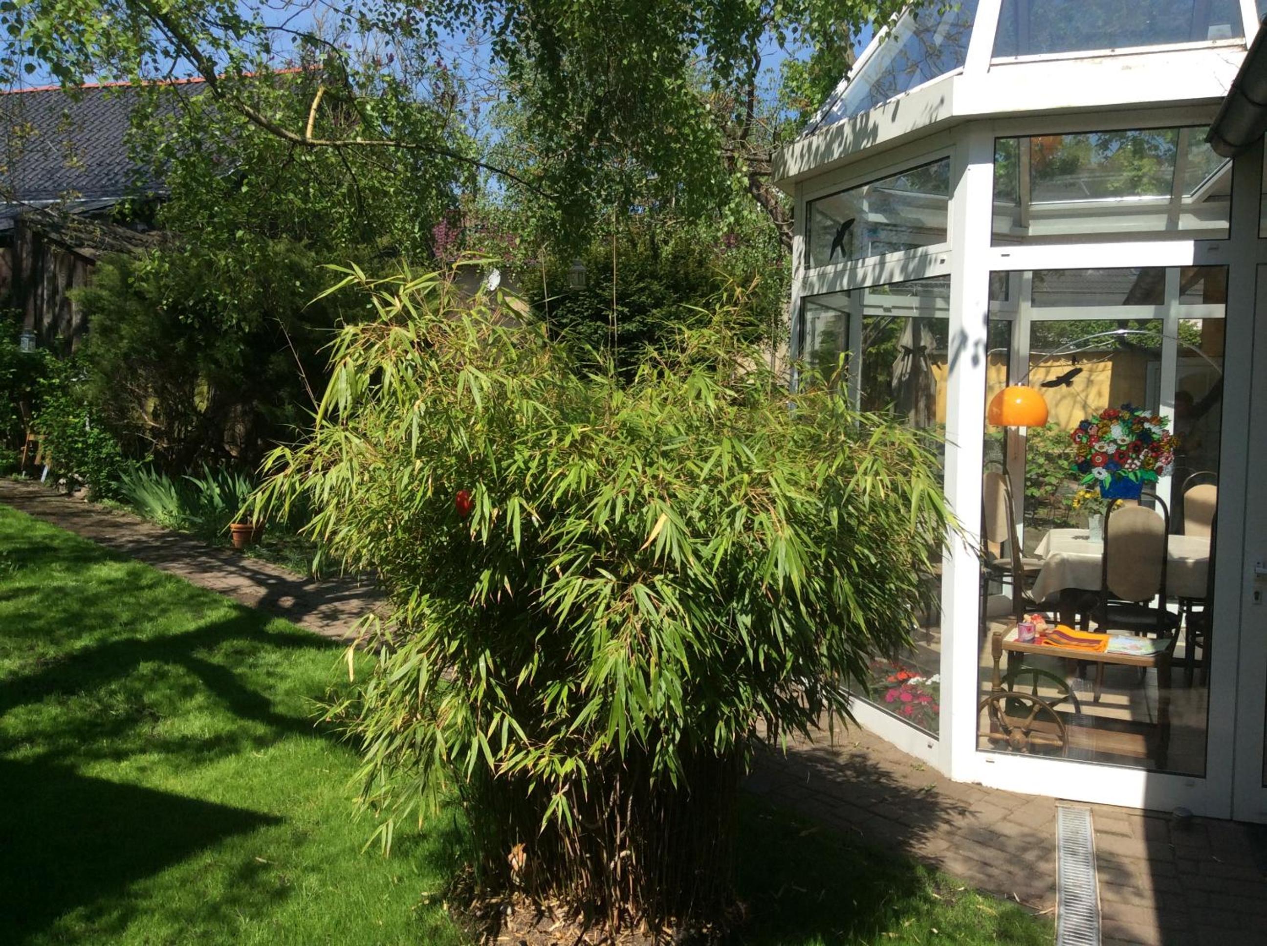 Double Room with Garden View photo 2