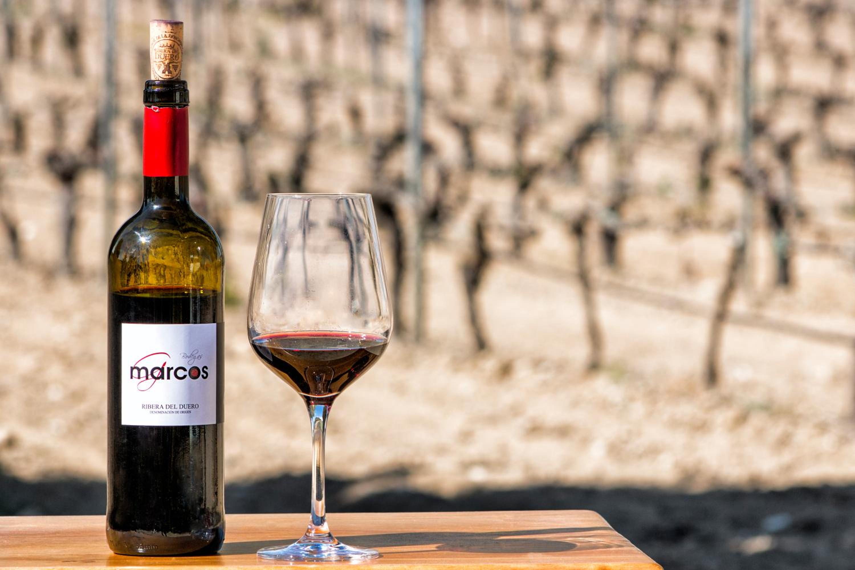 CASA BODEGAS MARCOS - Photo 18