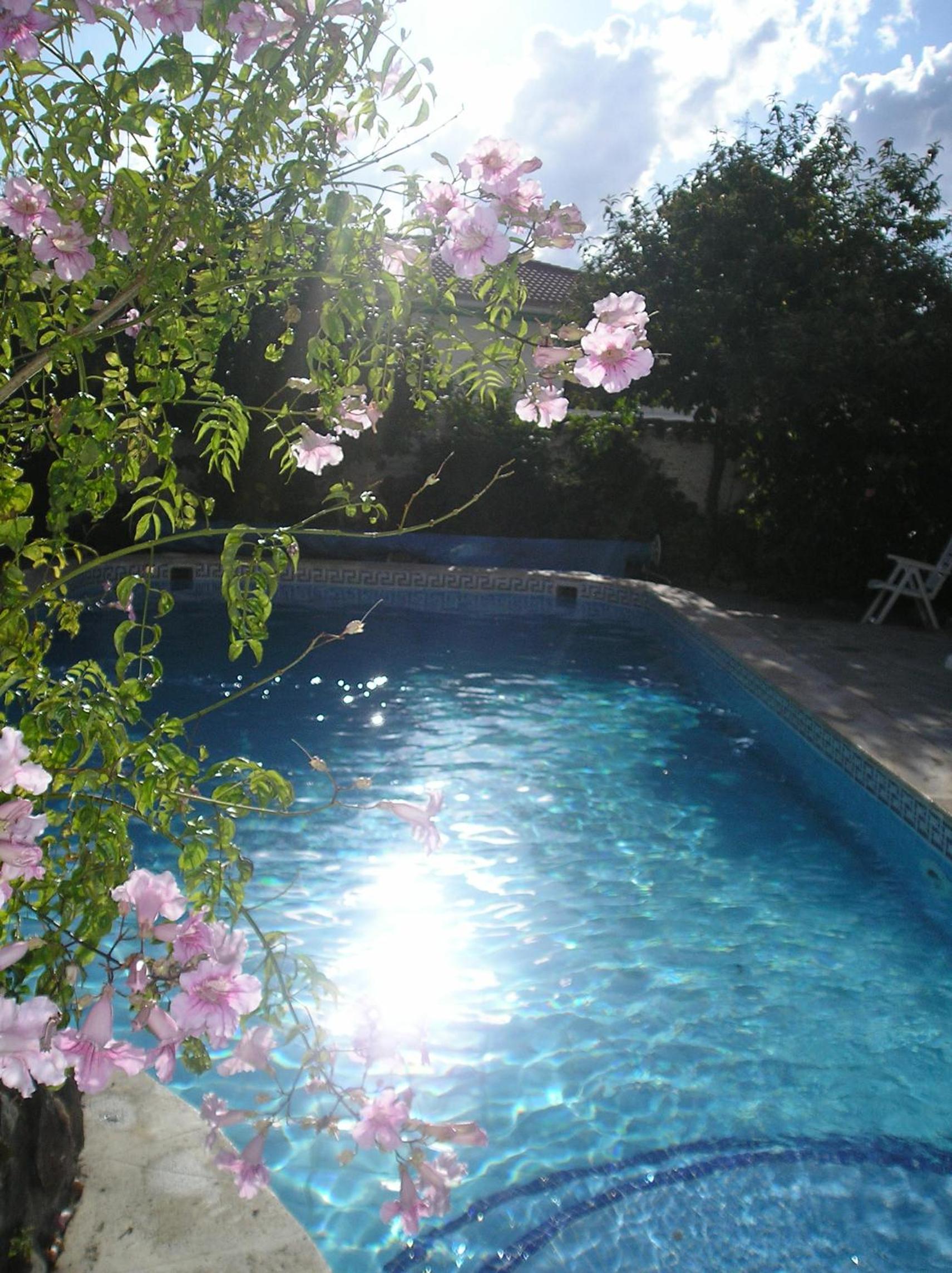 Apartment with Garden View photo 3