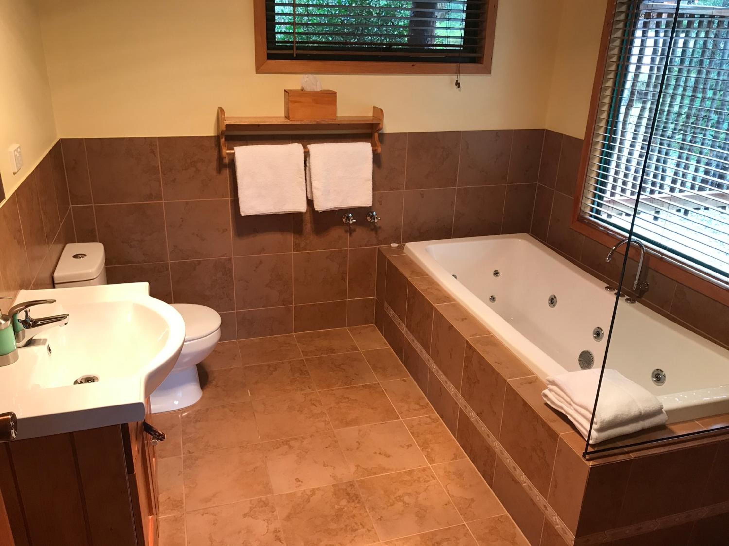 Cradle Mountain View One-Bedroom Spa Cabin photo 2