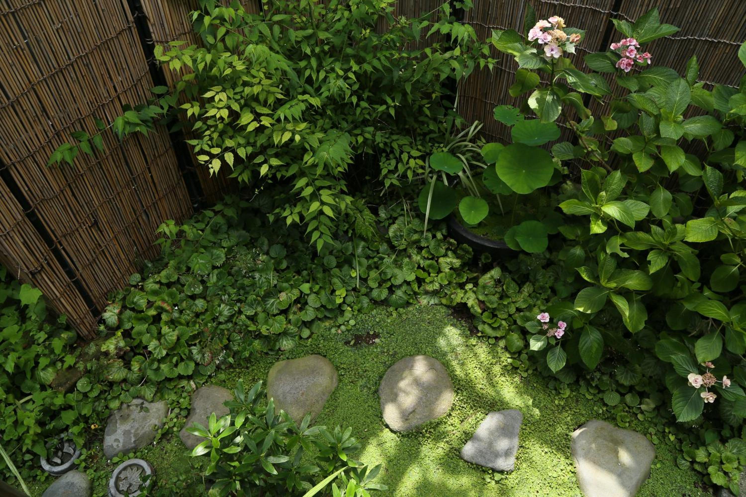 Japanese-Style Twin Room photo 3