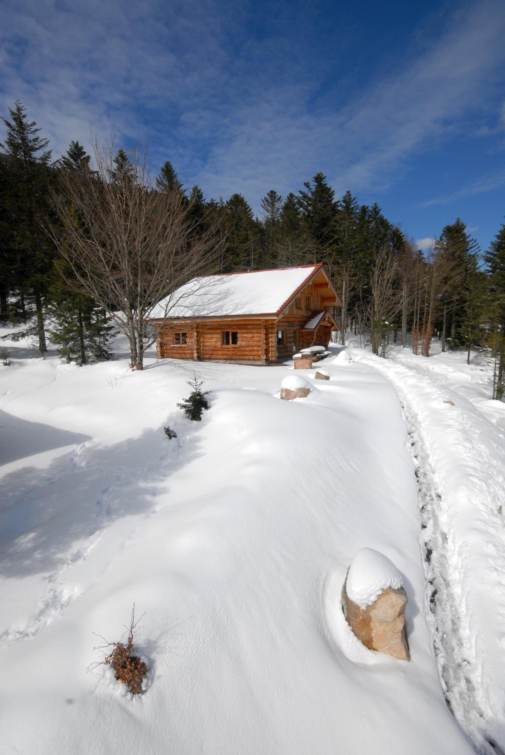 Four-Bedroom Chalet (12 people) photo 2