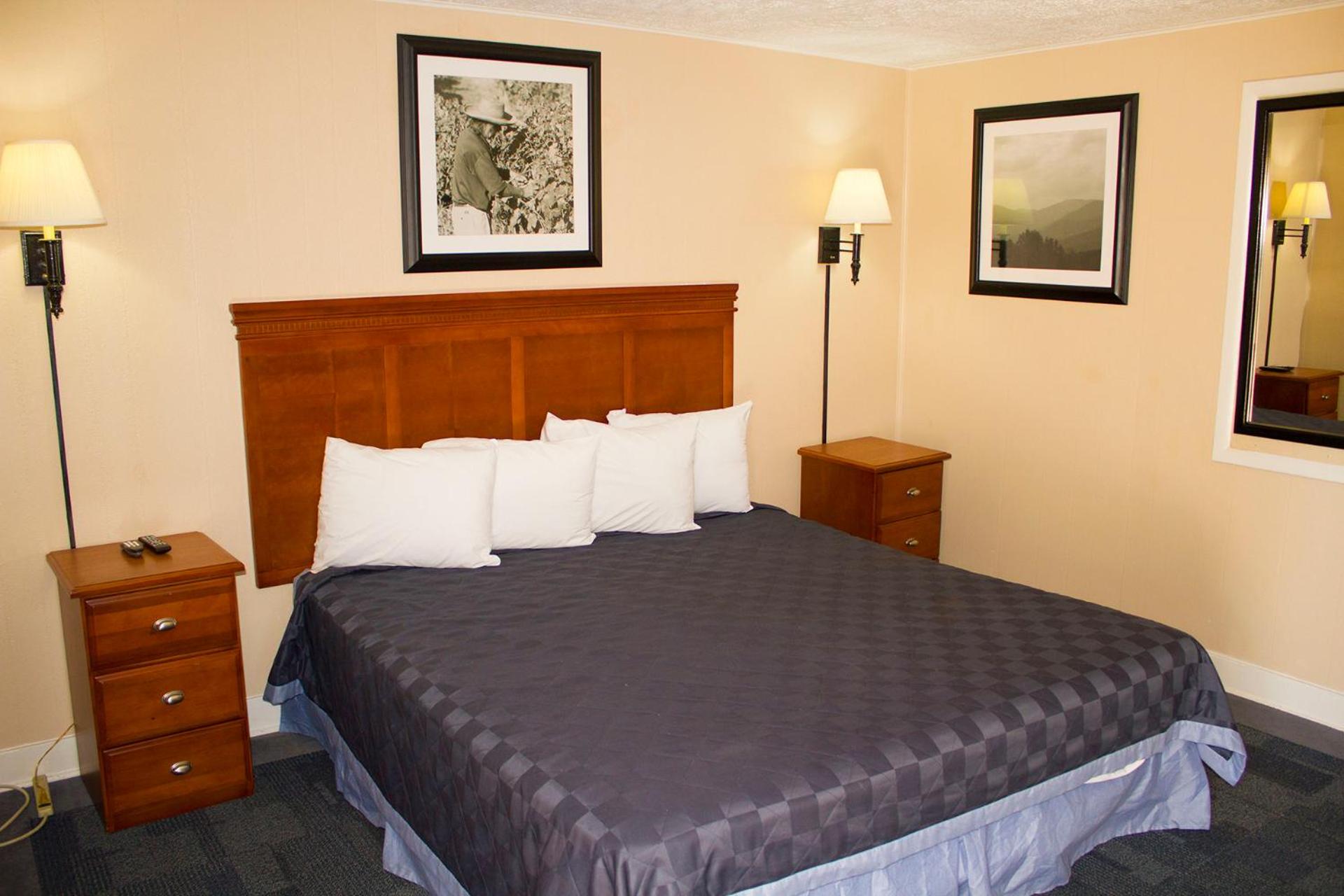 Deluxe Room photo 2