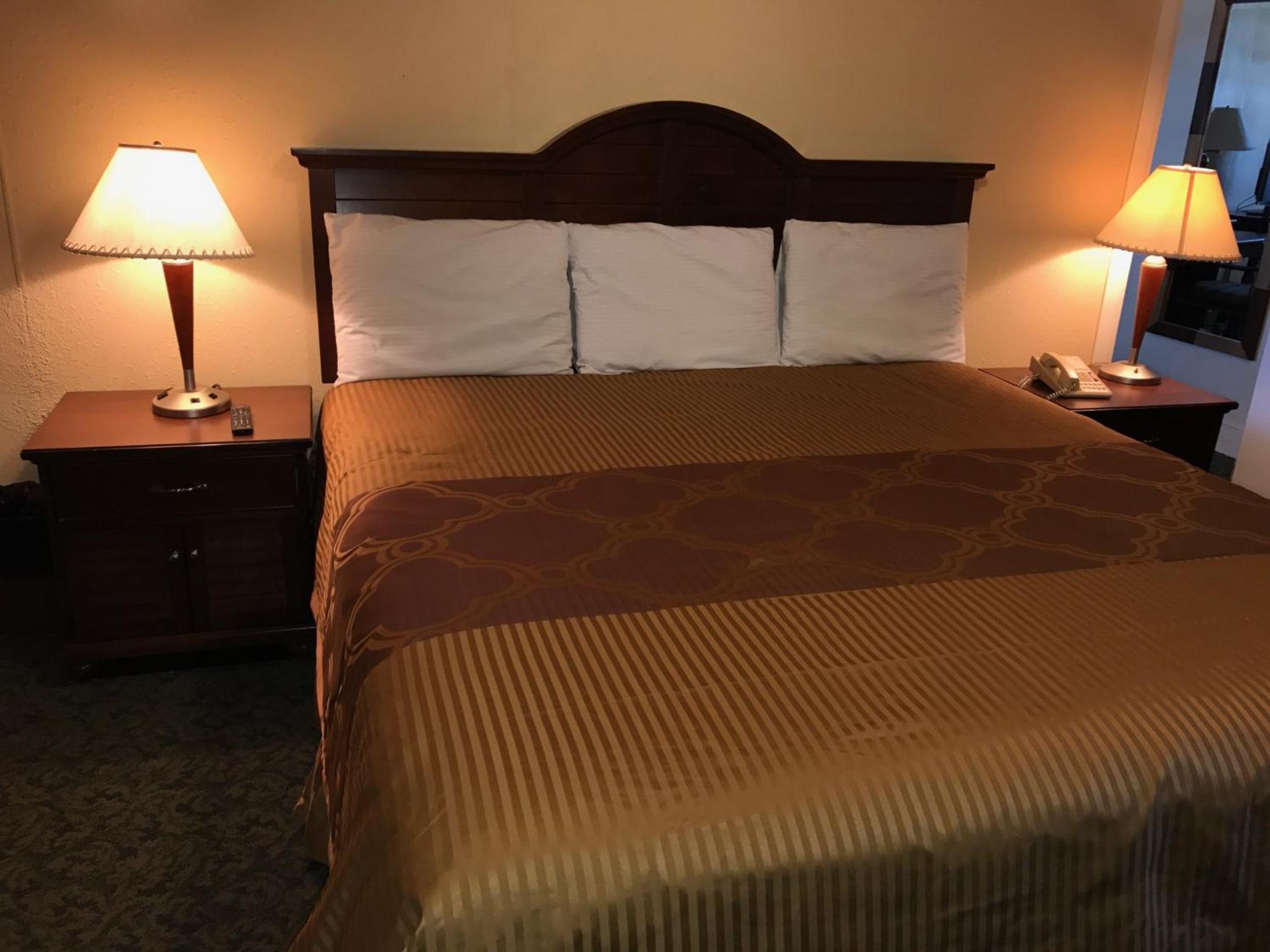 King Room photo 1