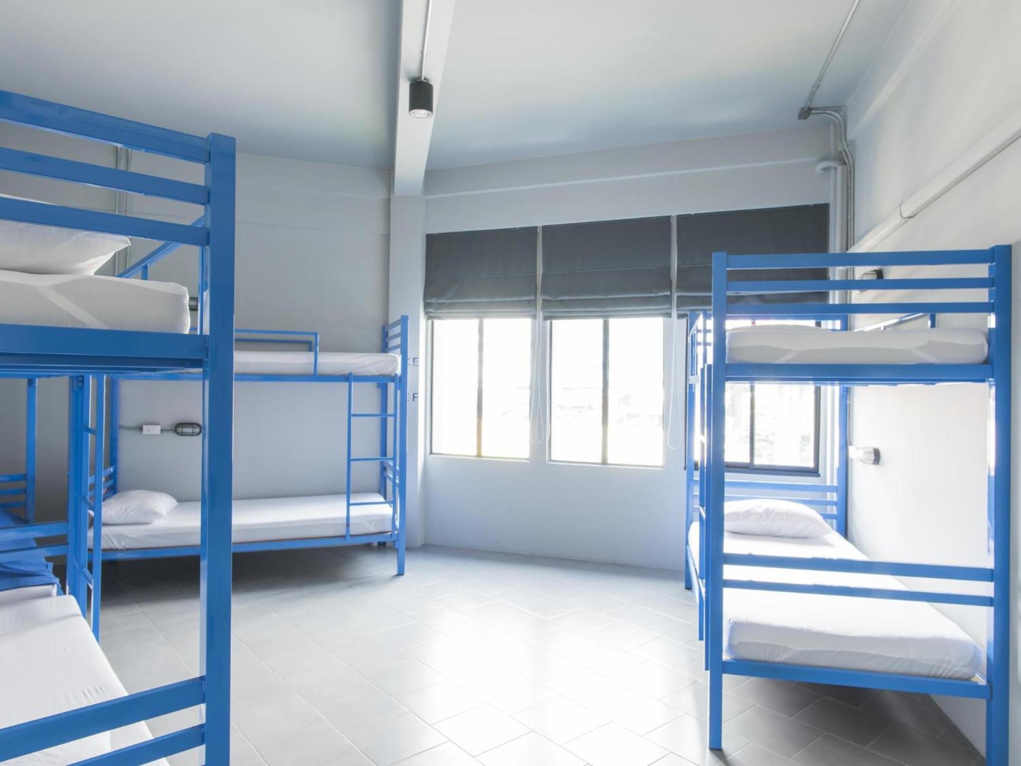 Bunk Bed in 8-Bed Female Dormitory Room photo 2