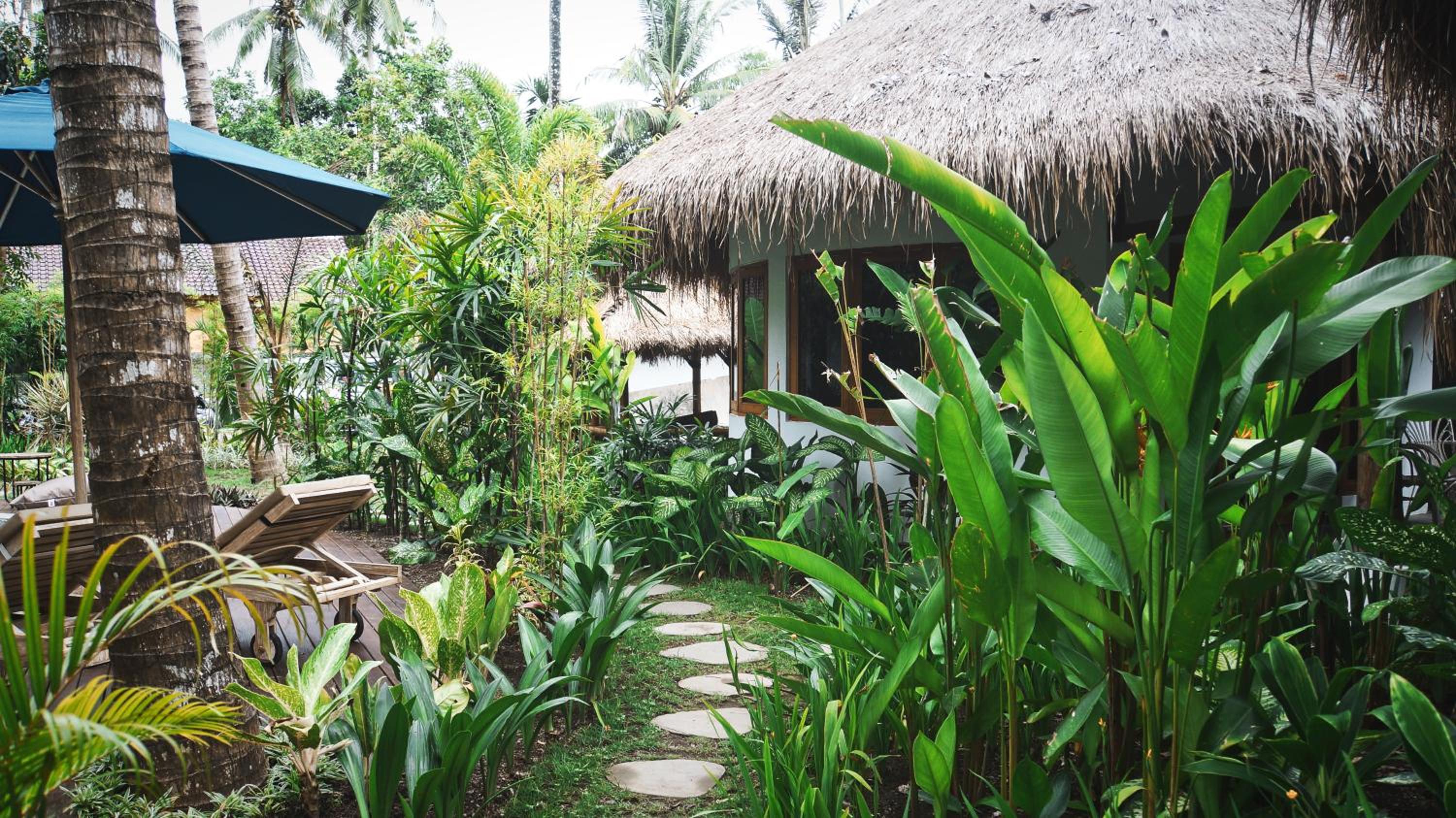 Deluxe Bungalow - Photo 3