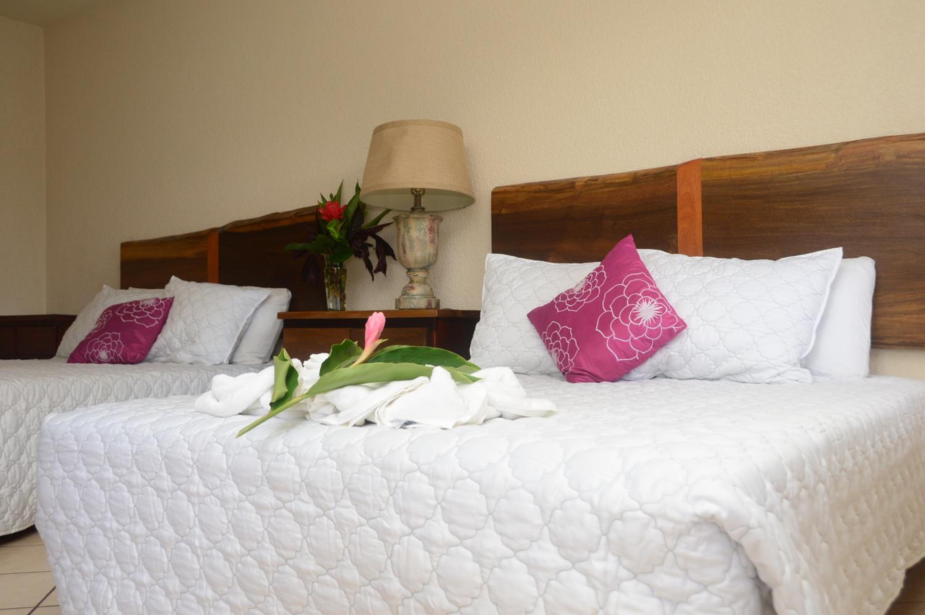 Deluxe Queen Room photo 1
