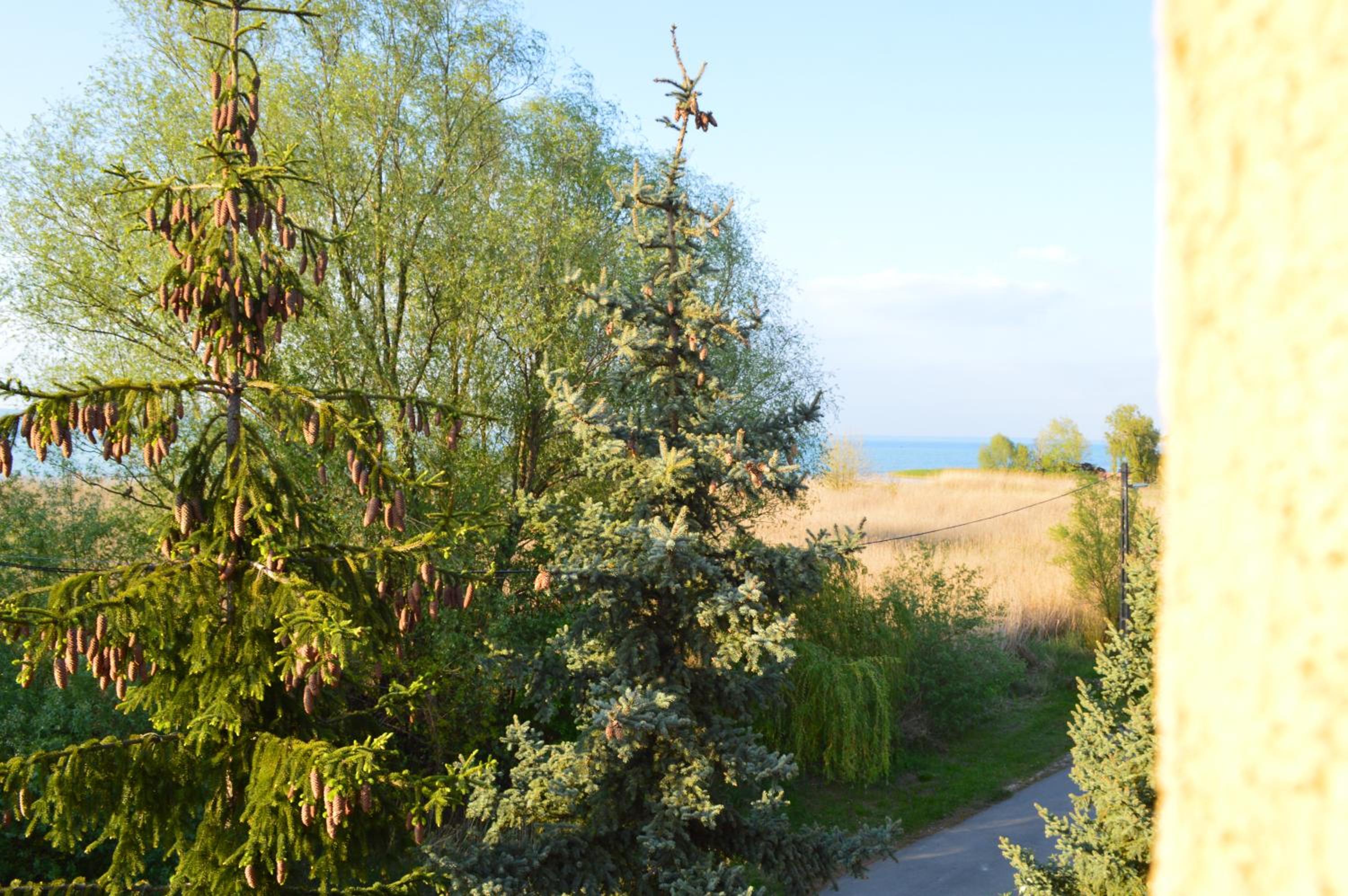 Superior Villa photo 3