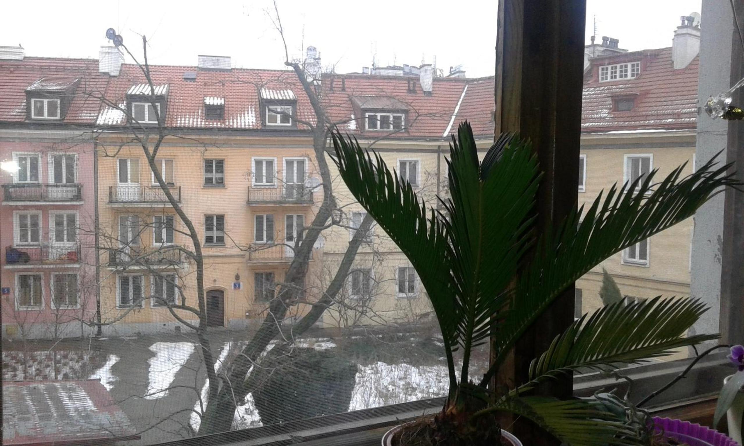 Apartment - Photo 54