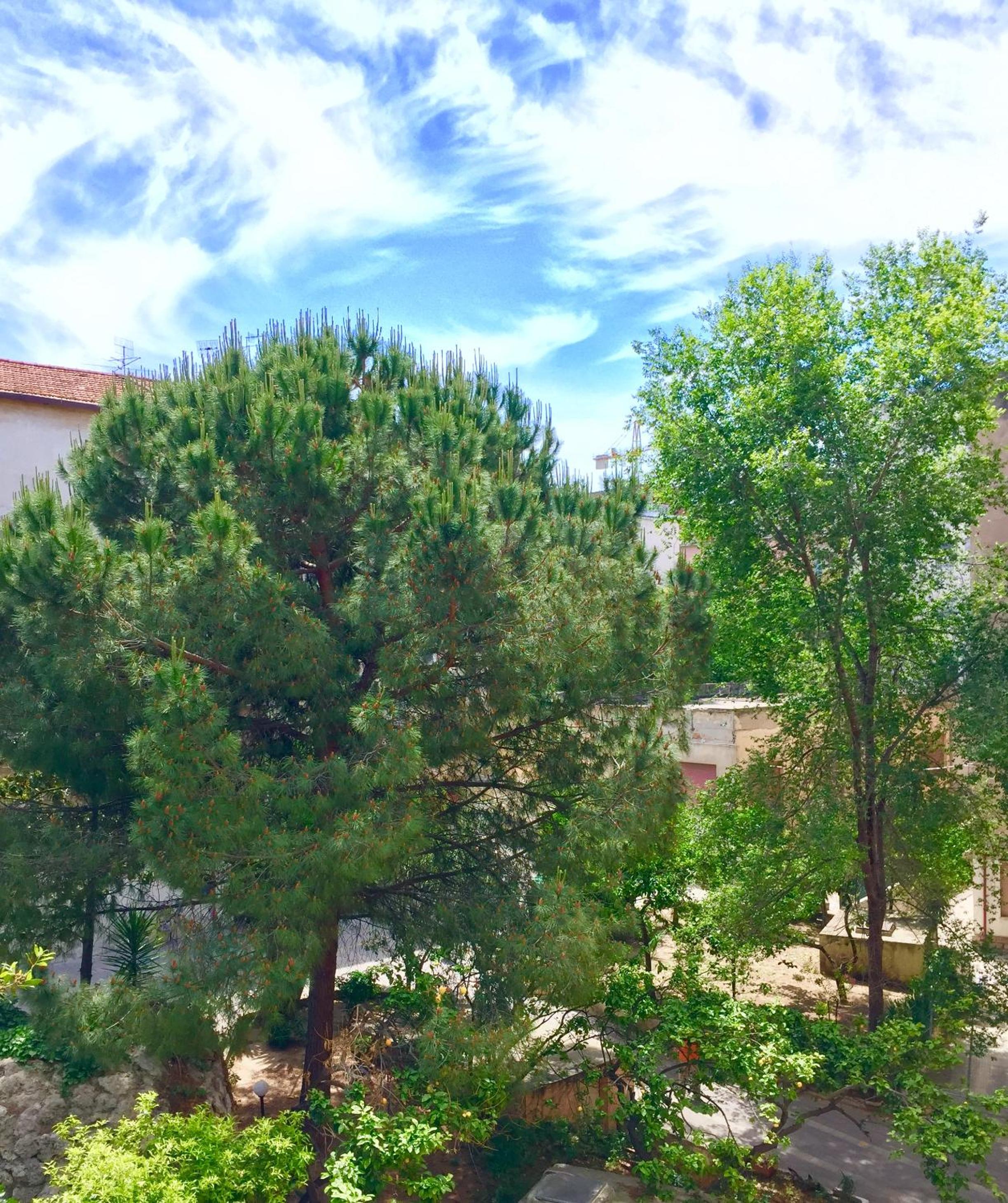 Superior Double Or Twin Room With Garden View photo 3