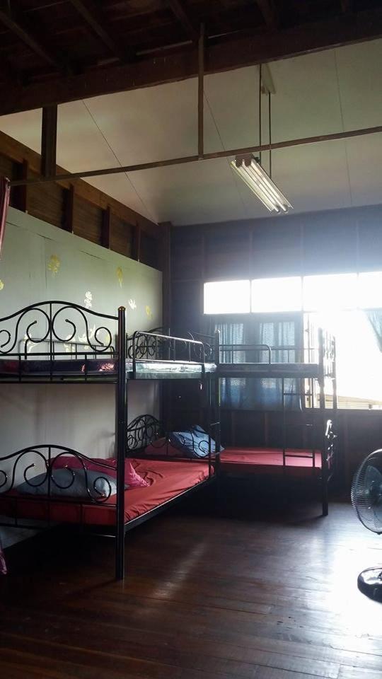 Bunk Bed in Mixed Dormitory Room