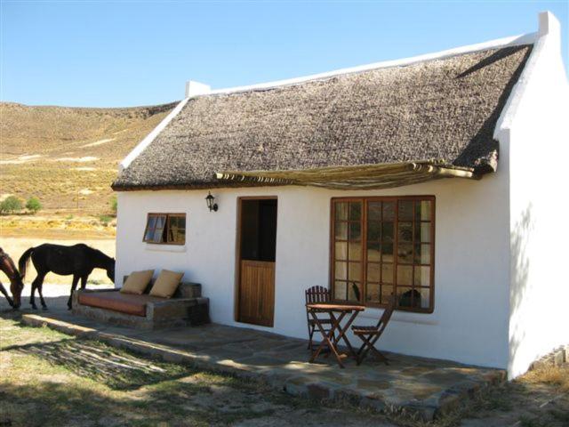 Chalet - Oak photo 1