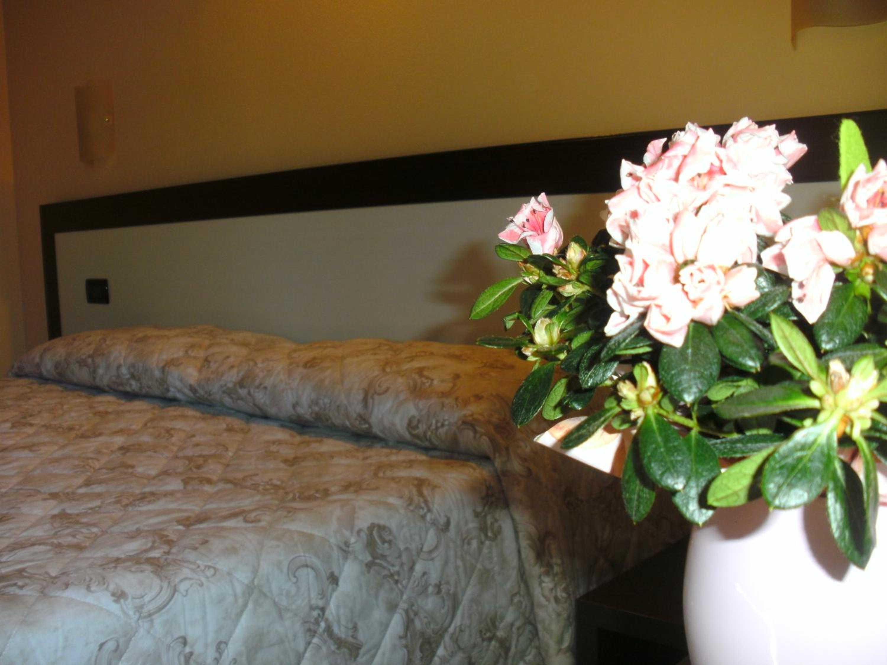 Double or Twin Room photo 2