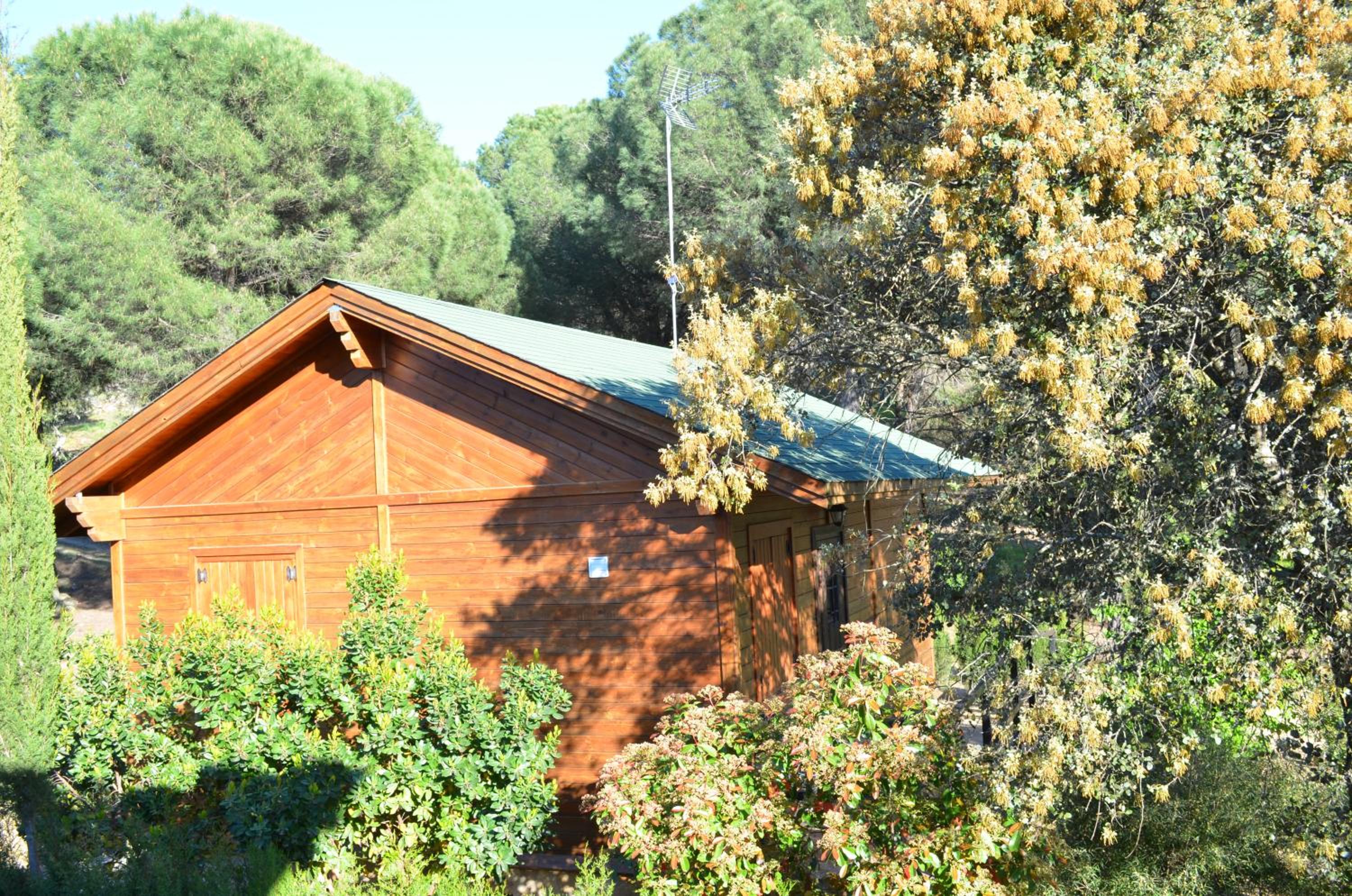 One-Bedroom Bungalow with Mountain View  photo 2