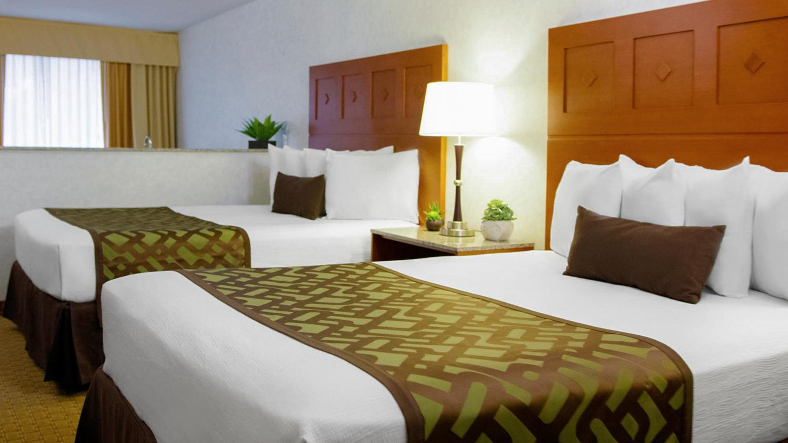 Deluxe queen suite