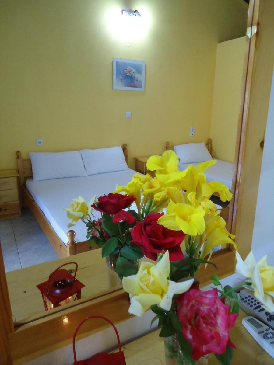 Studio (3 Adults) photo 2