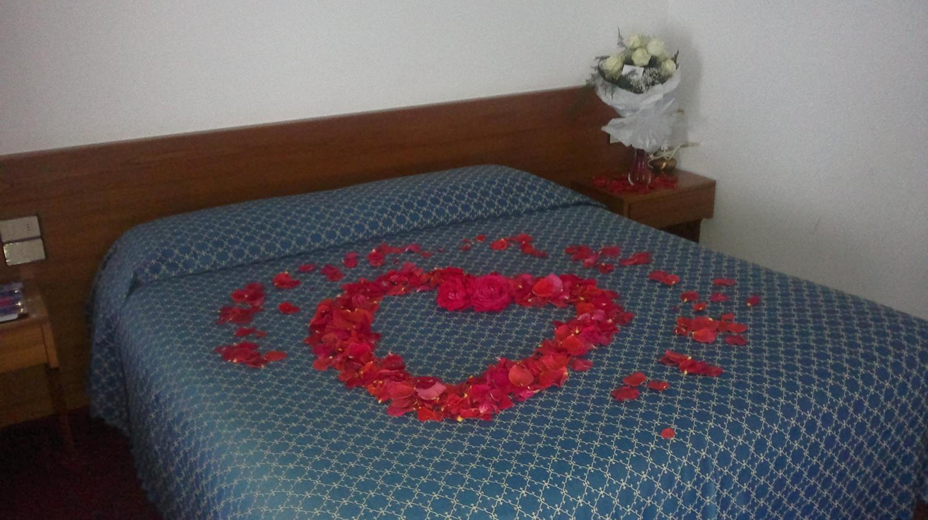 Double or Twin Room photo 1