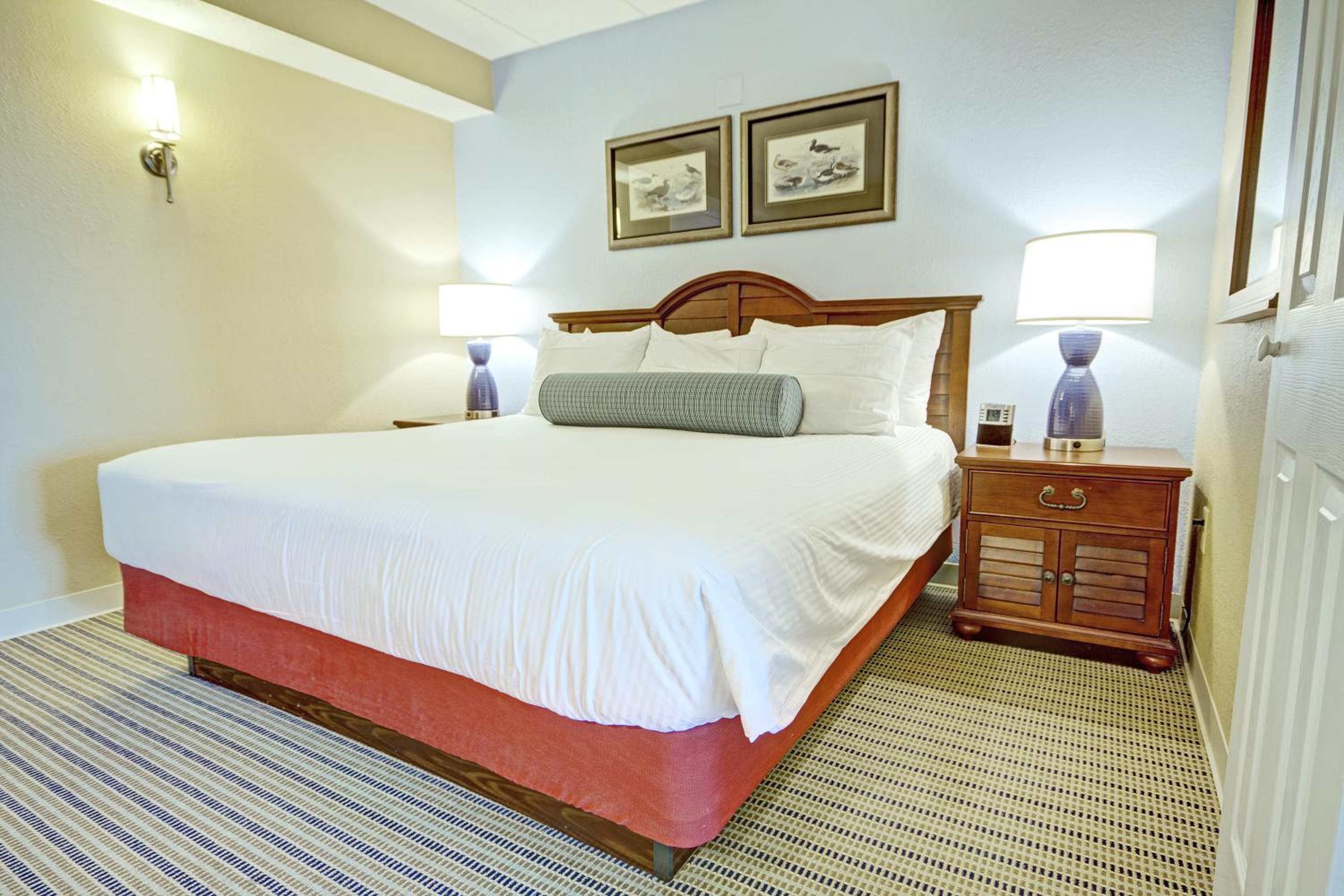 One-Bedroom Suite photo 3