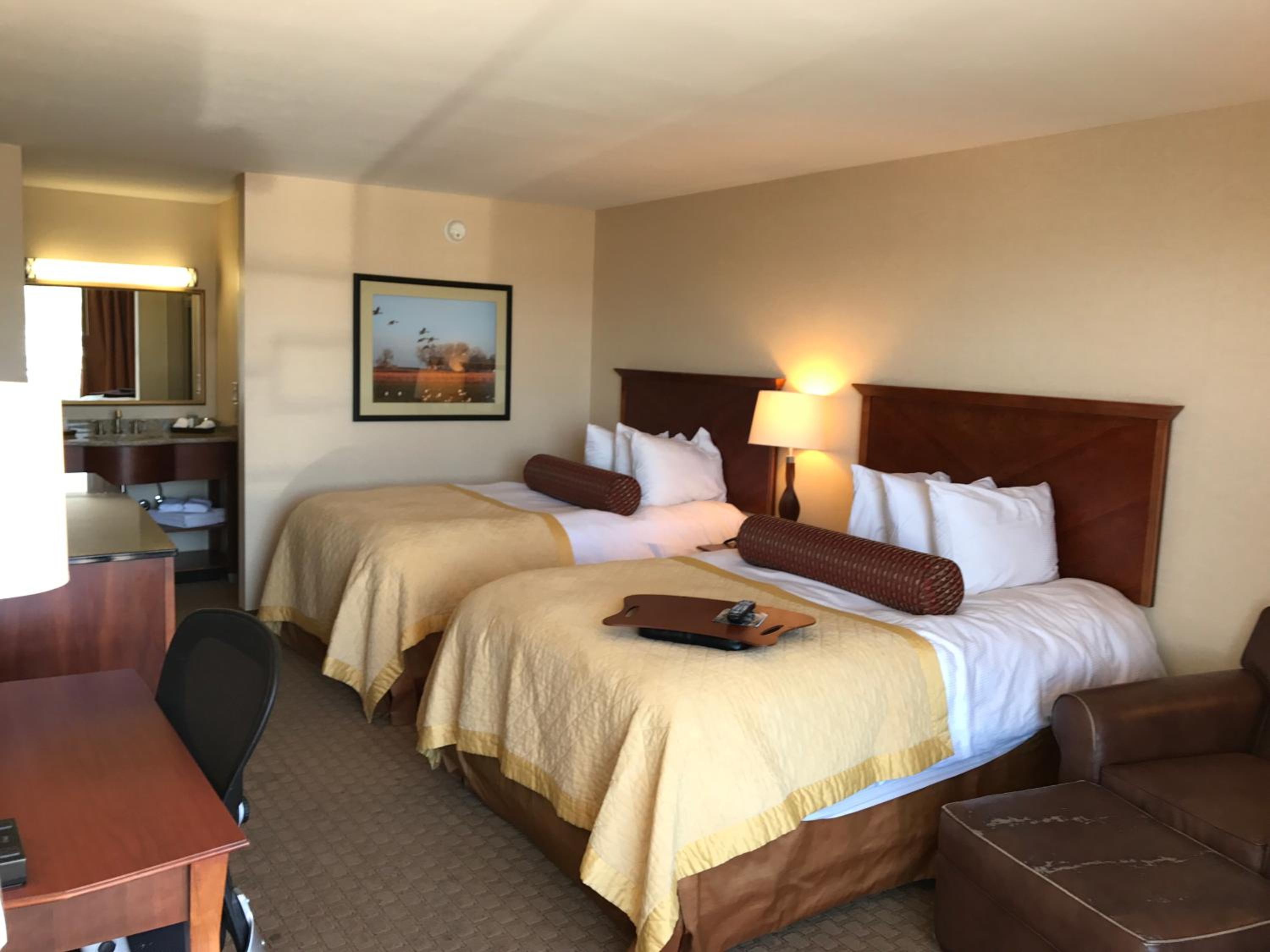 Executive Double Room - Photo 1