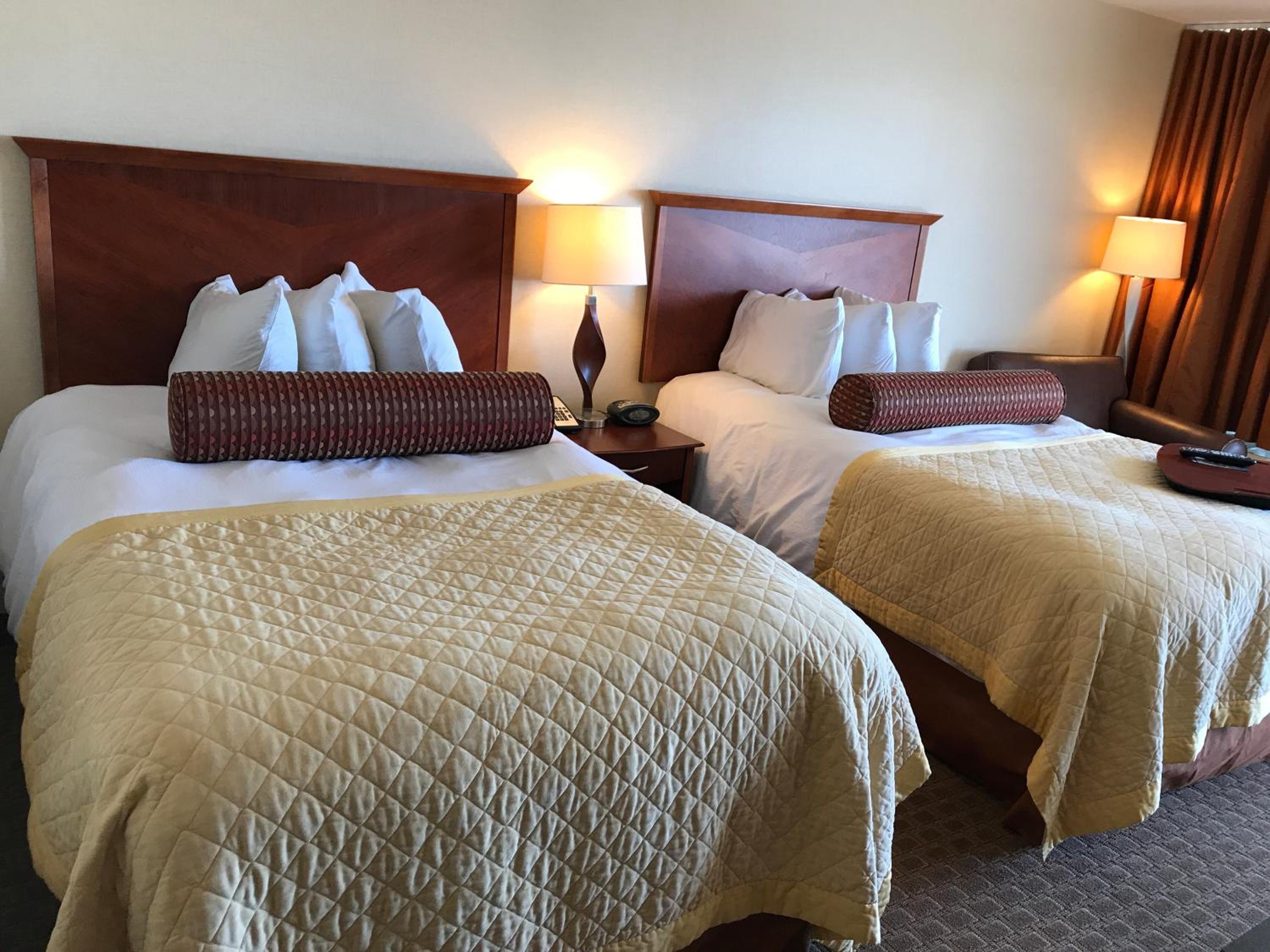 Executive Double Room - Photo 3