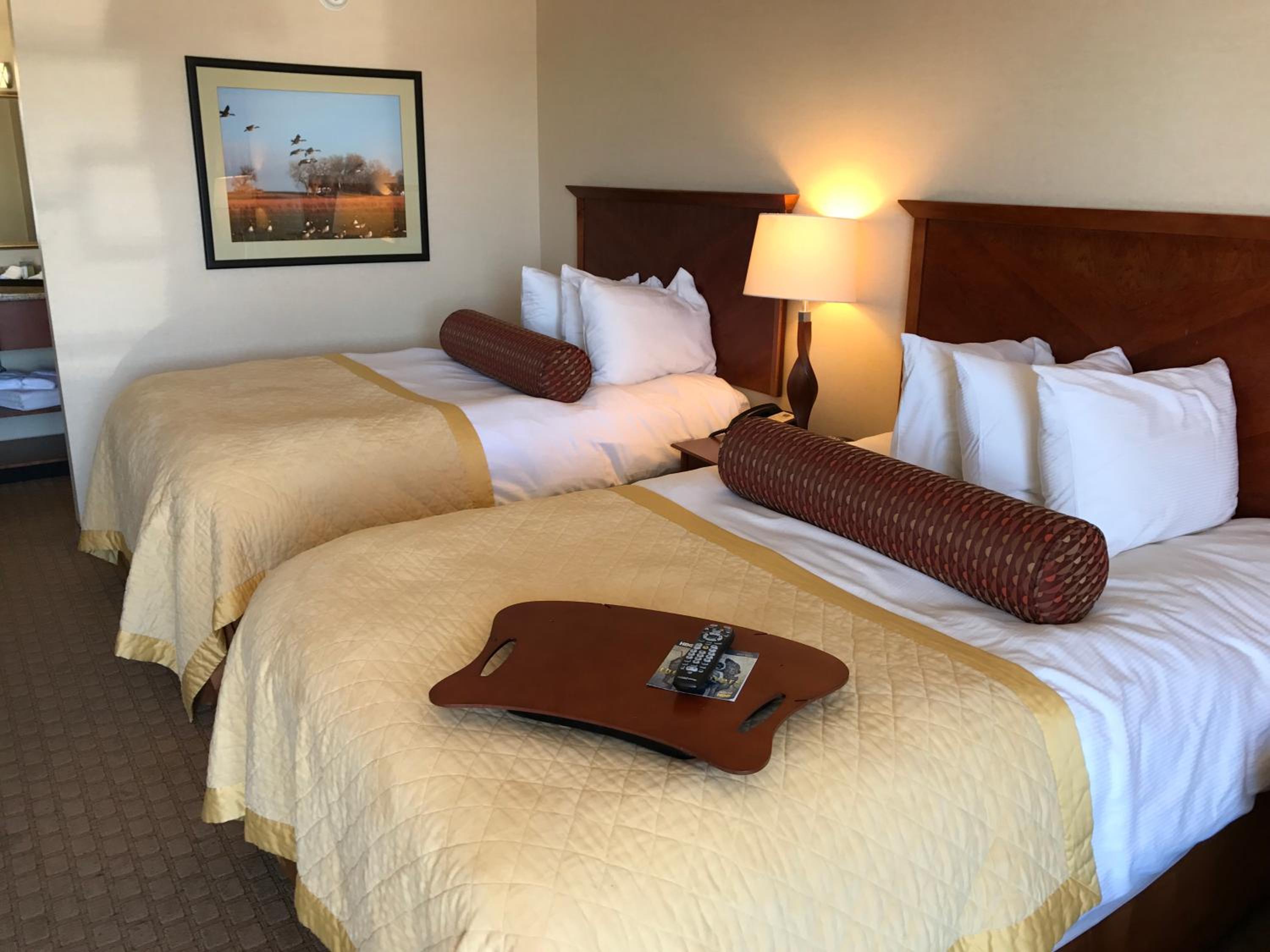 Executive Double Room - Photo 2