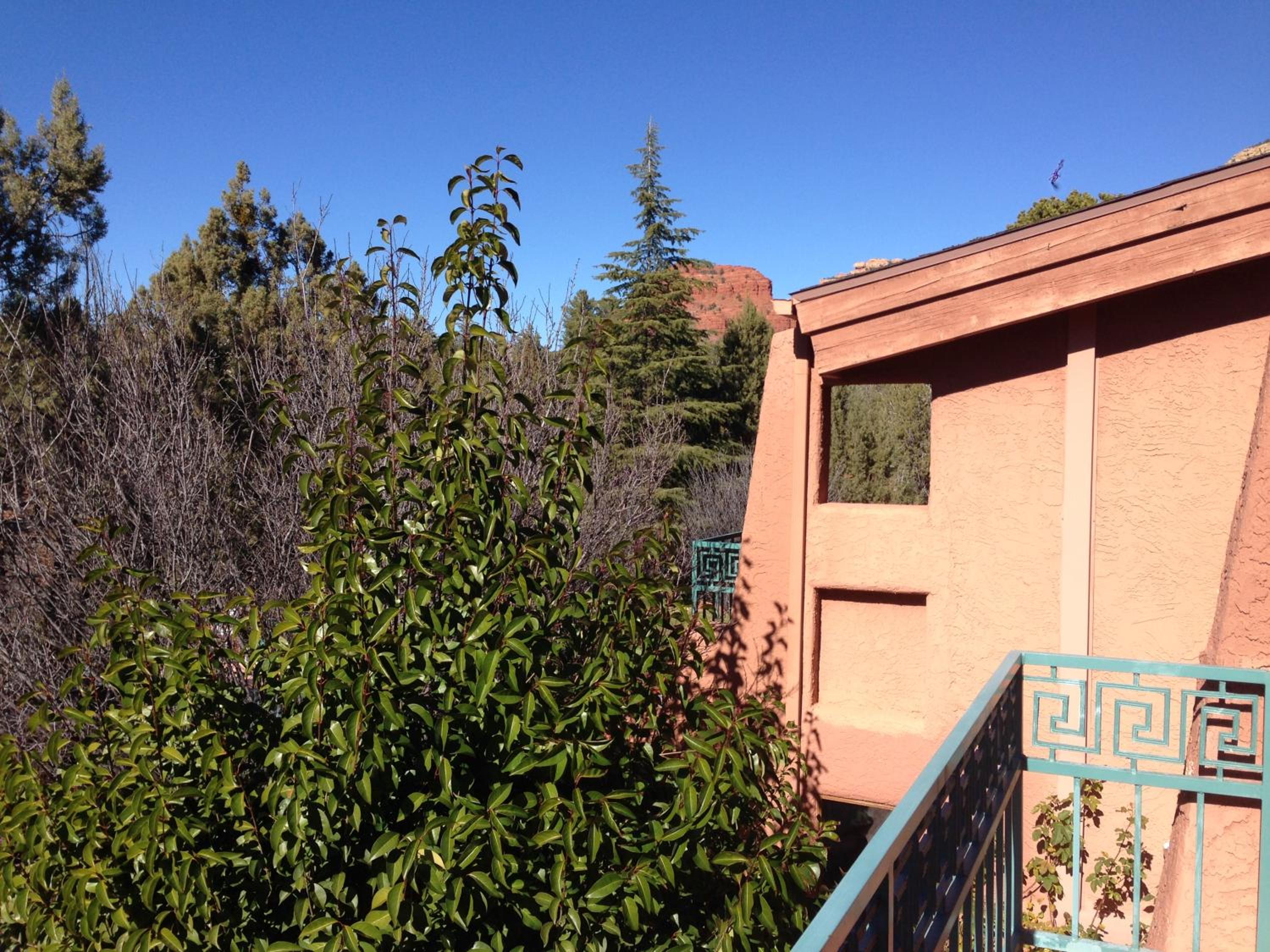 Arizona Pines - Double Room - Photo 8
