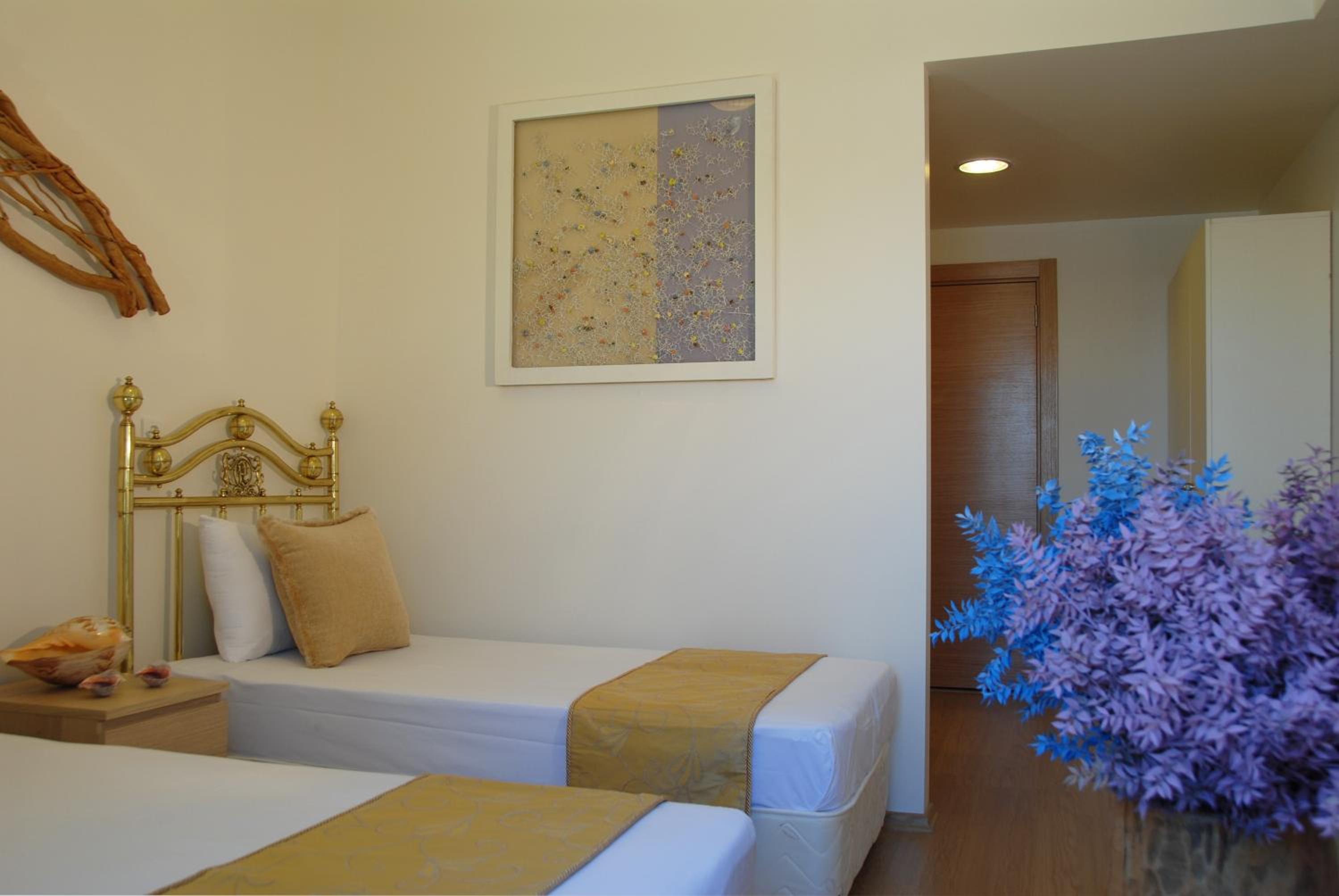 Superior Twin Room photo 3