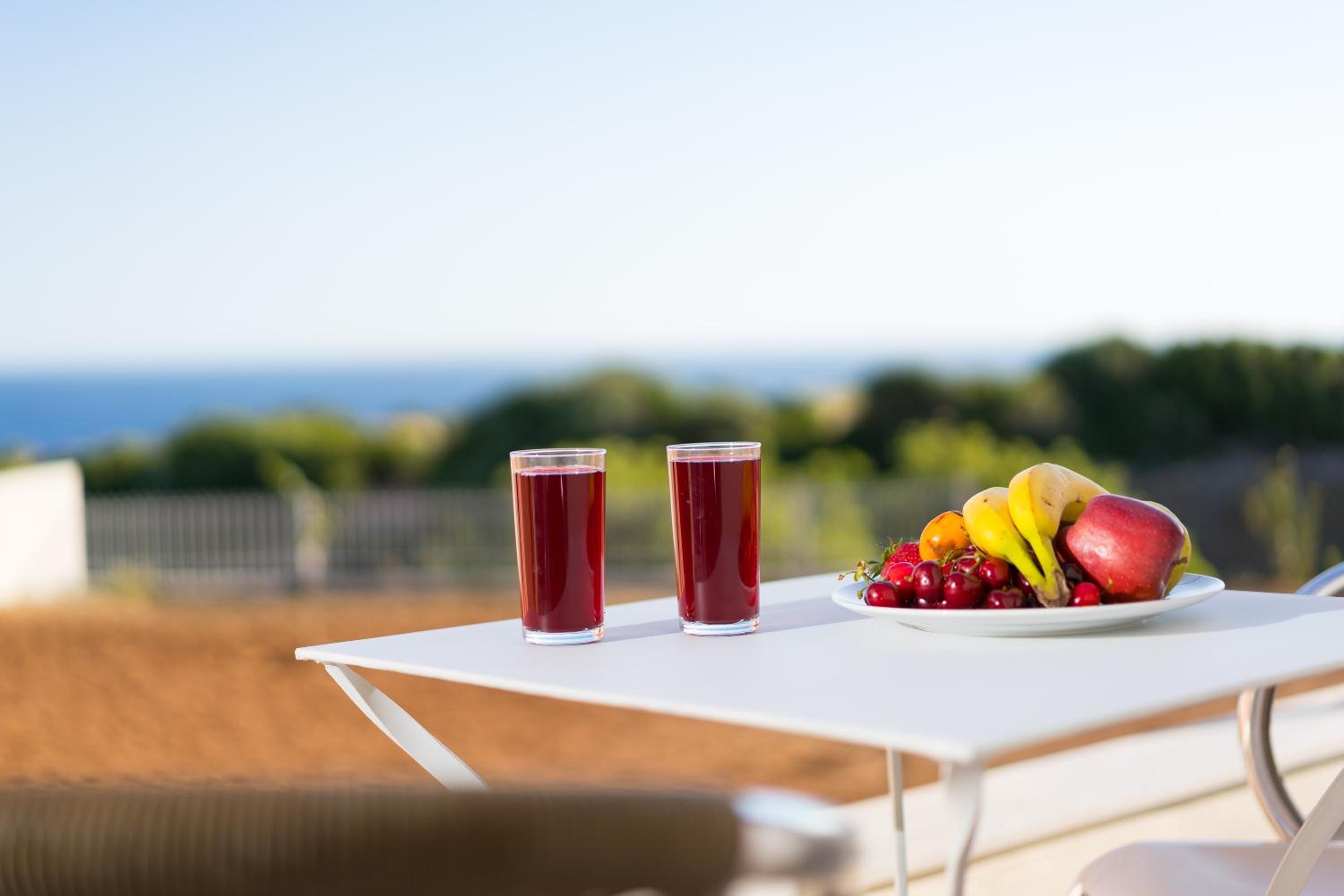 Villa with Sea View without pool photo 2