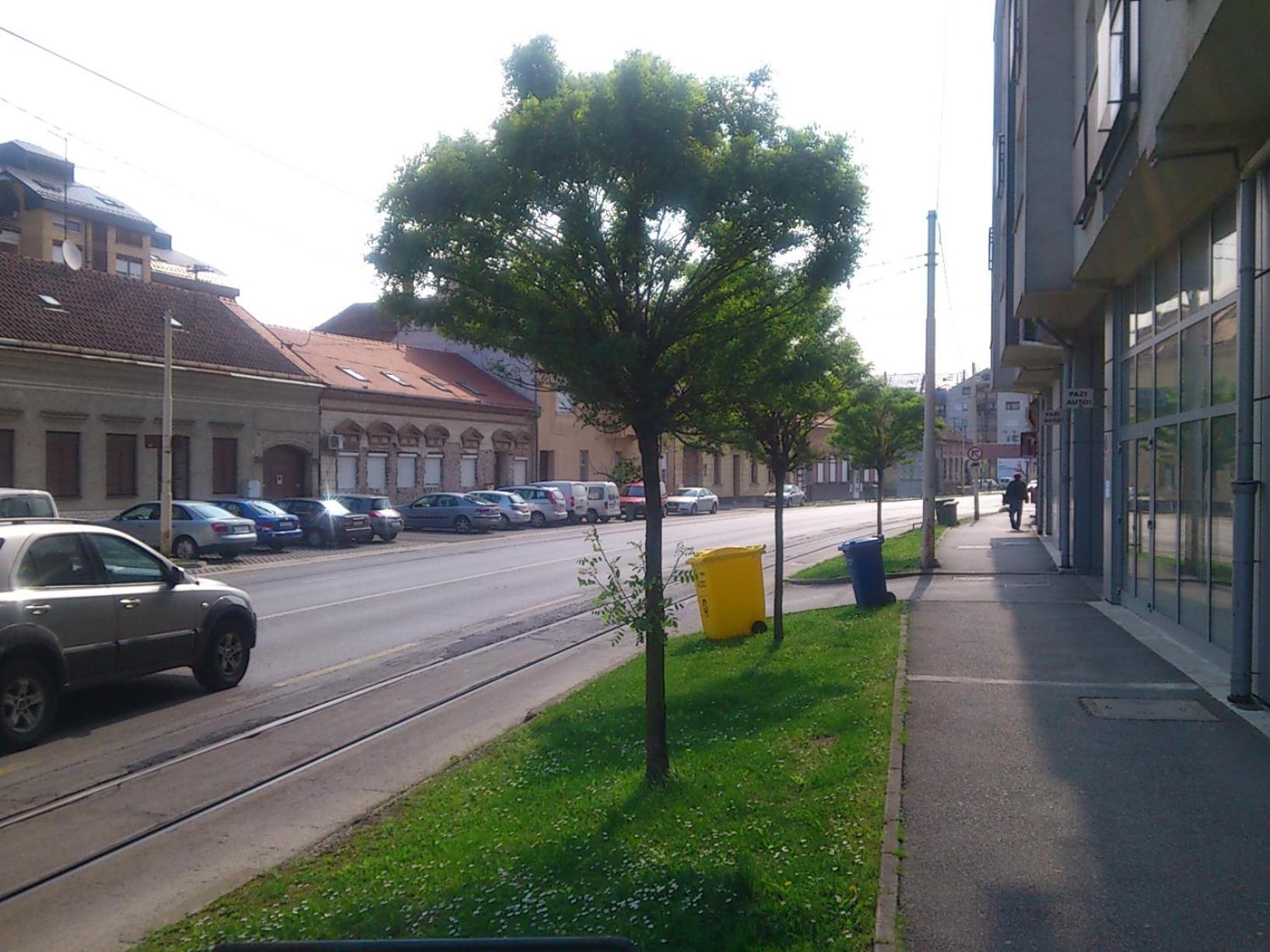 Apartment with Terrace - Photo 39