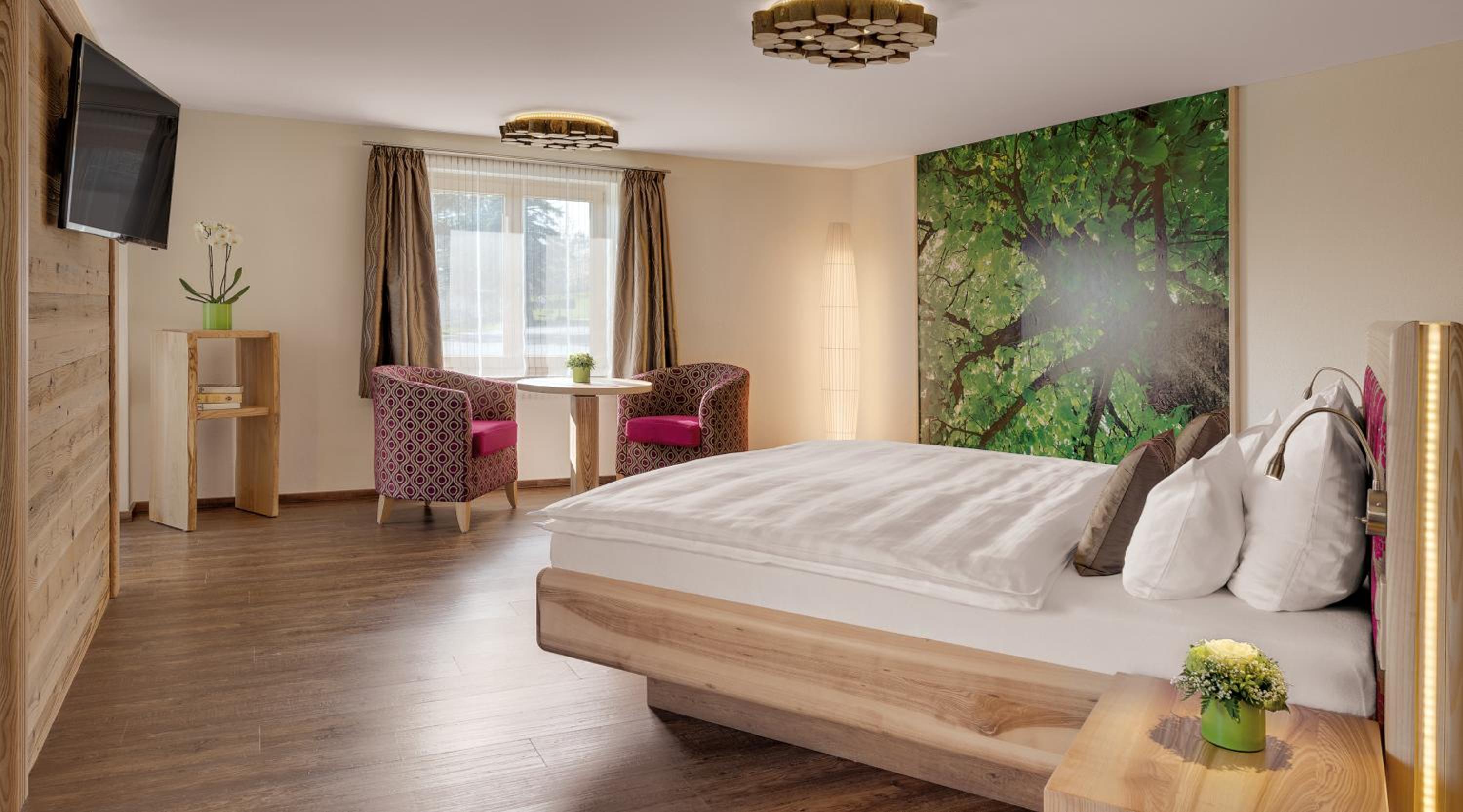 Suite with Terrace photo 1