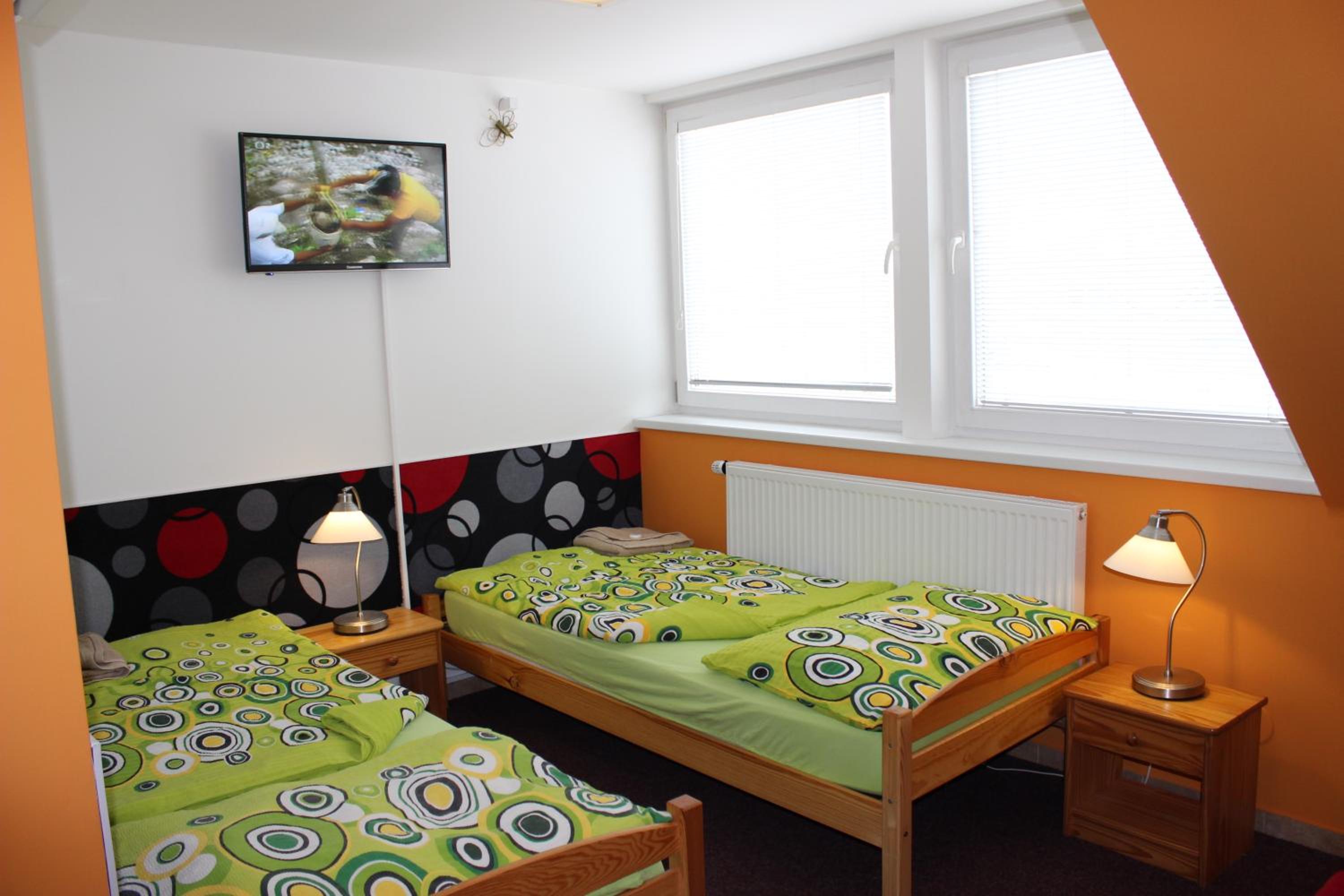 Twin Room photo 1