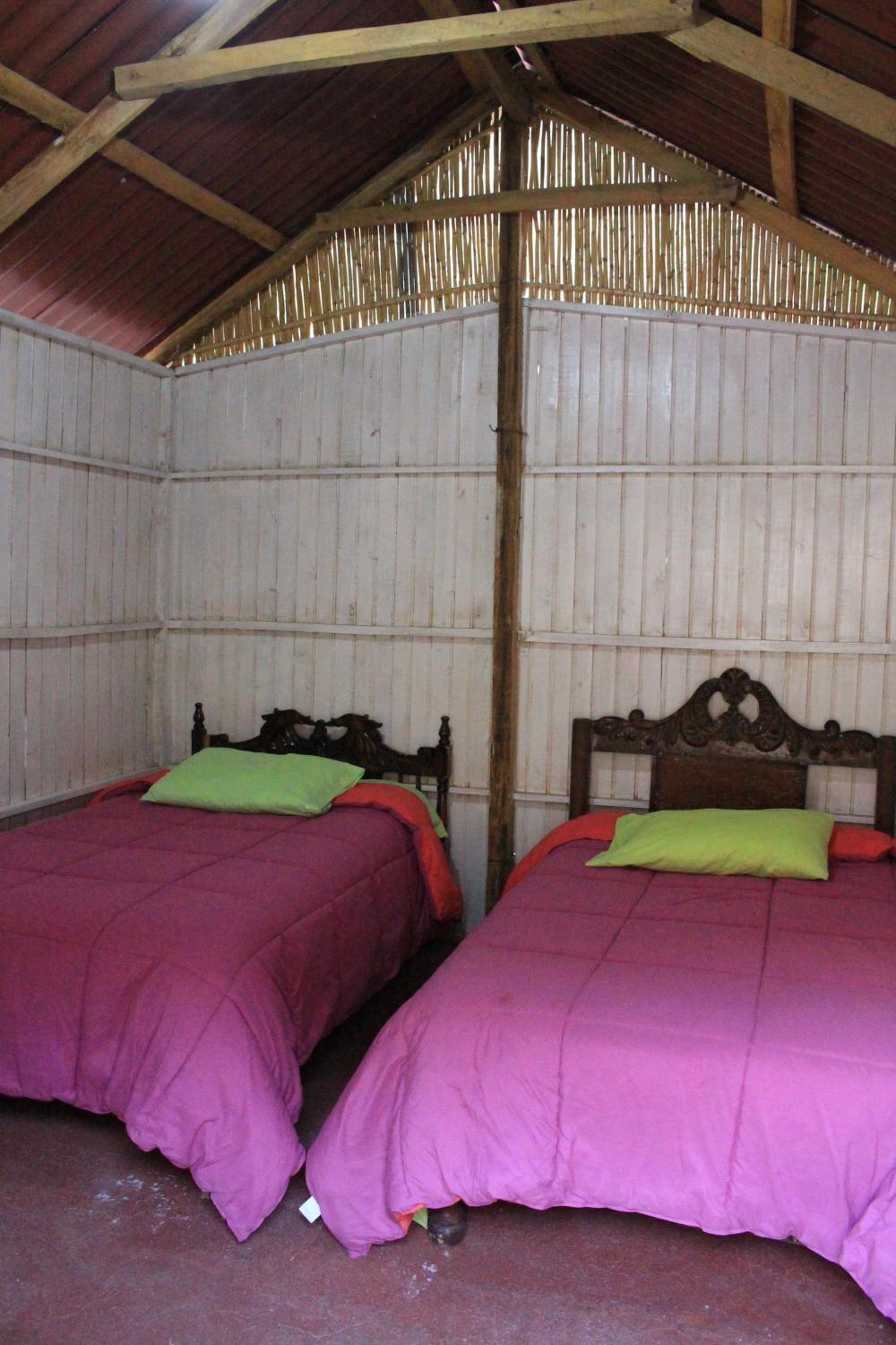 Twin Room with Shared Bathroom photo 3