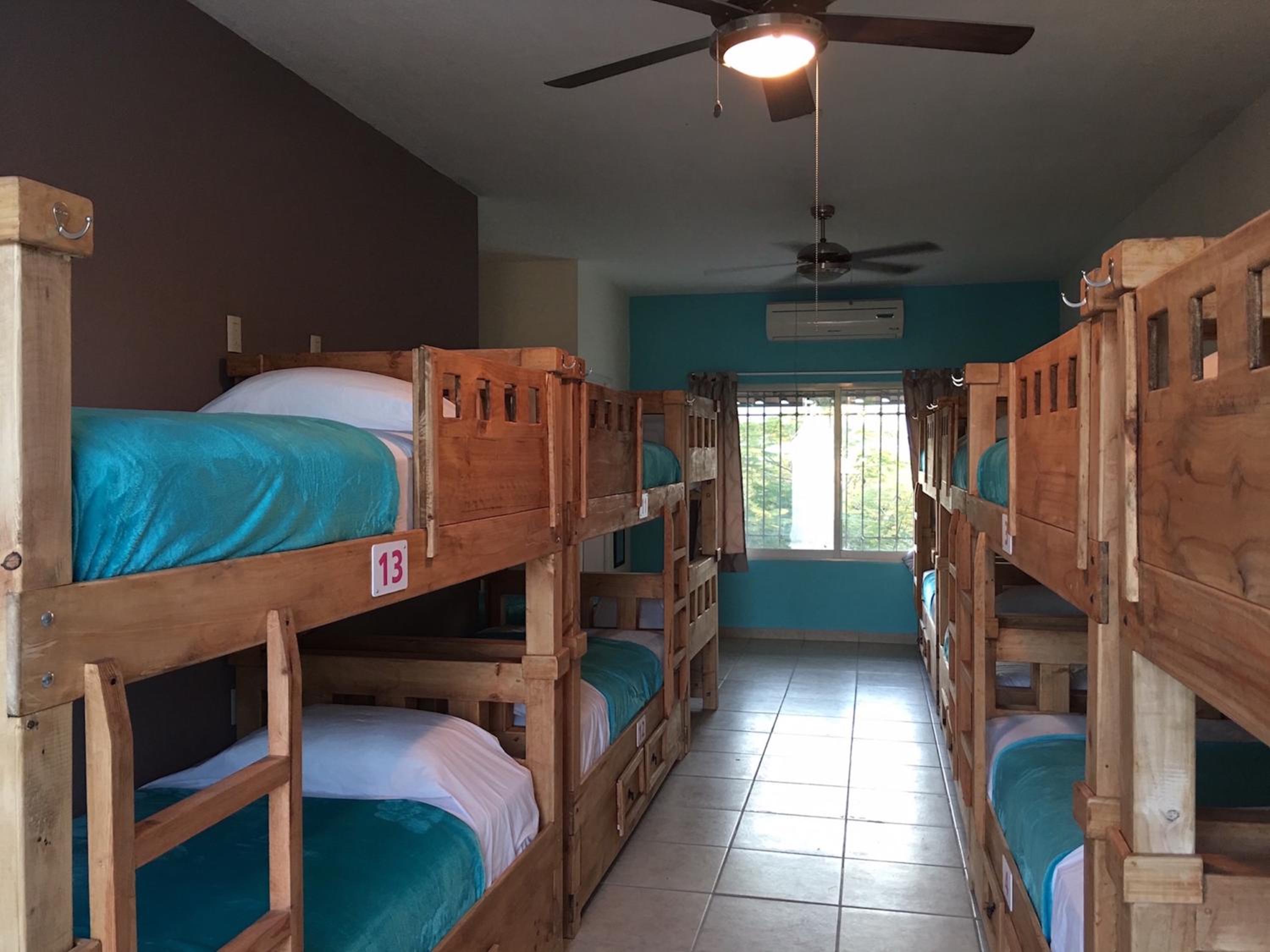 Single Bed in Mixed Dormitory Room photo 1