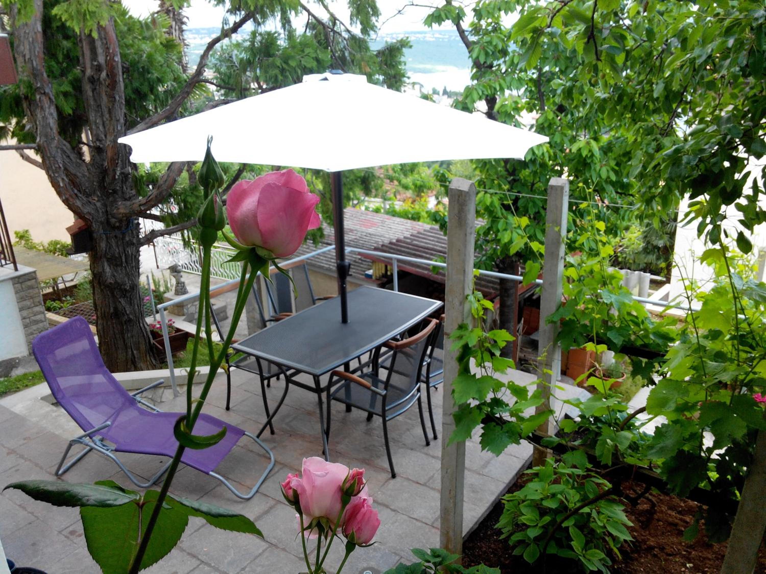 Apartment with Terrace photo 3