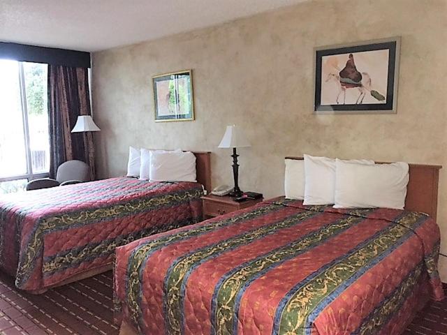 Double Room with Two Double Beds - Photo 8