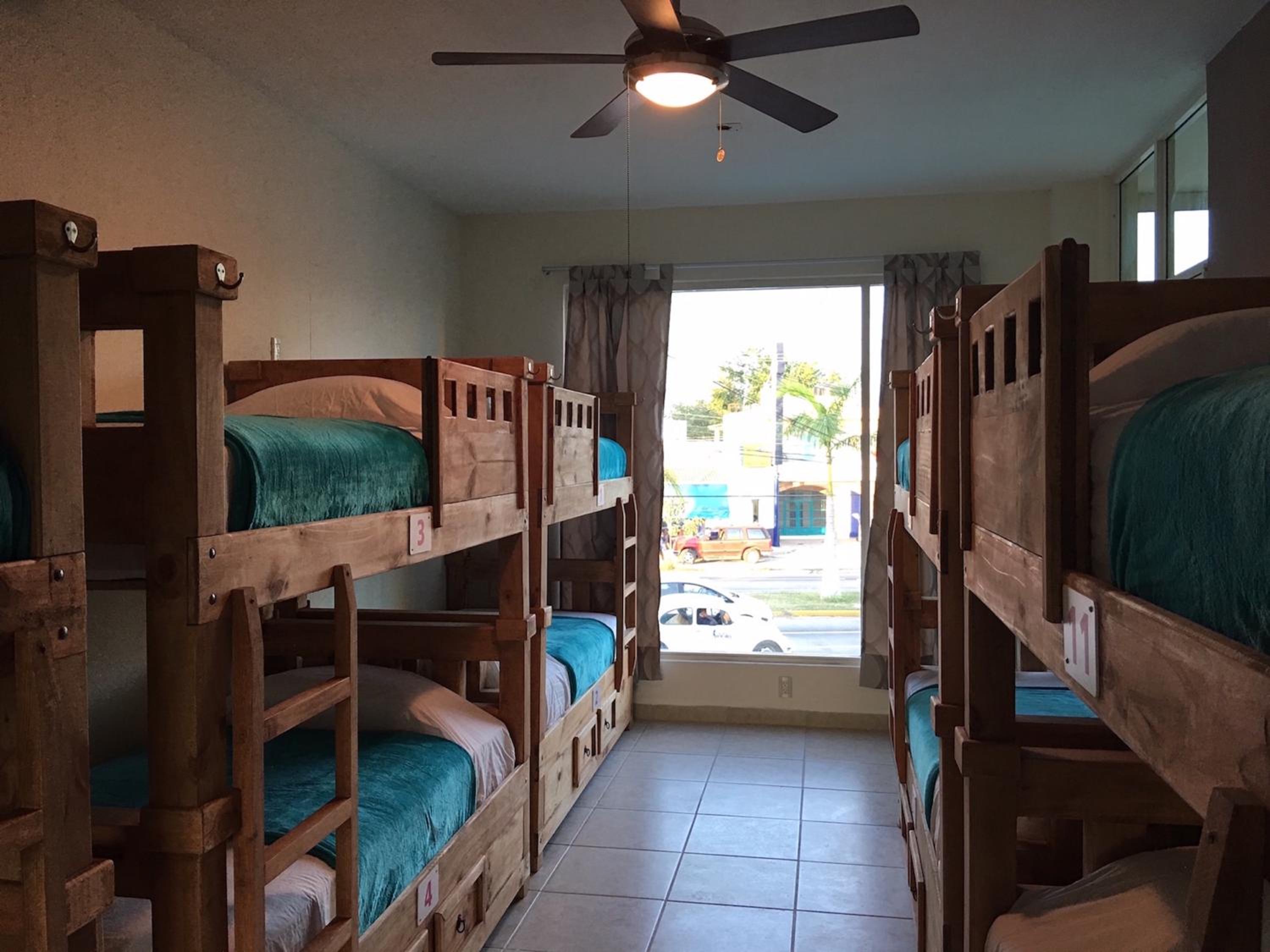 Single Bed in Mixed Dormitory Room photo 3