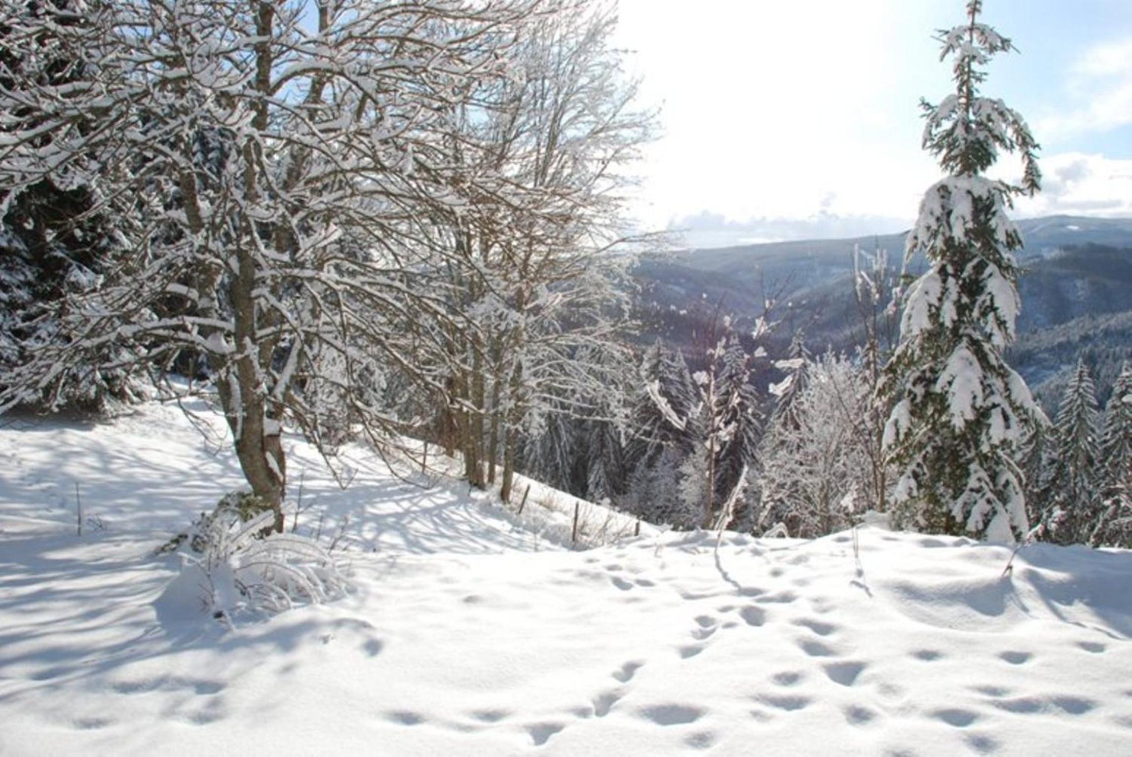 Triple Room with Mountain View photo 2