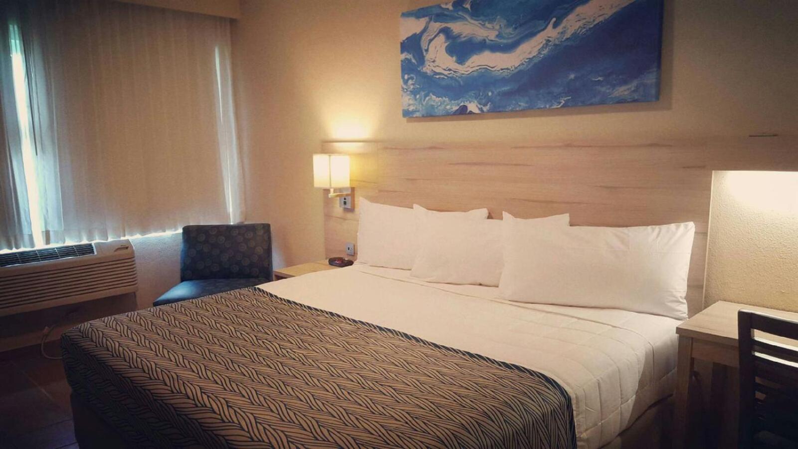 Single King Suite photo 2