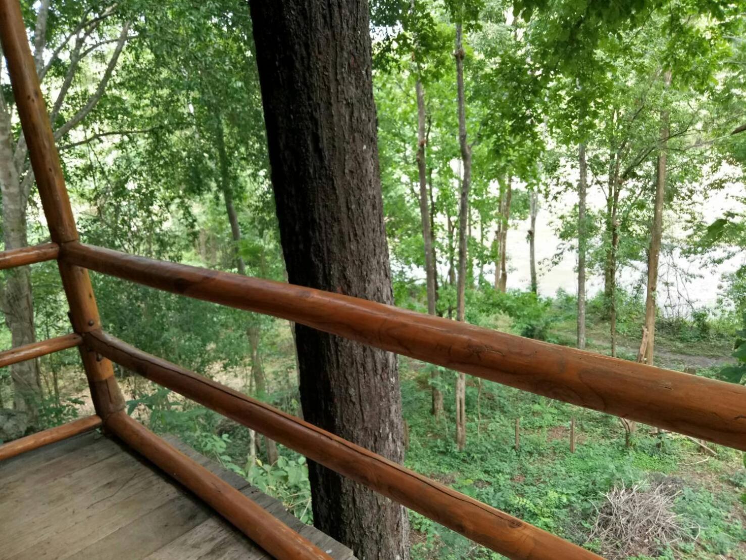 Standard Double or Twin Room with Balcony - Photo 4