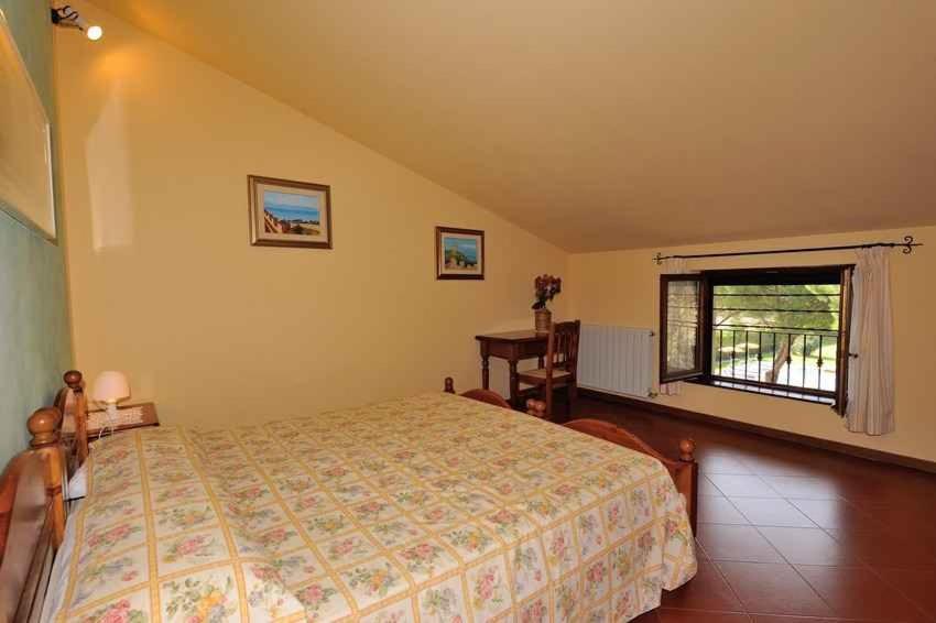 Apartment with Terrace photo 3