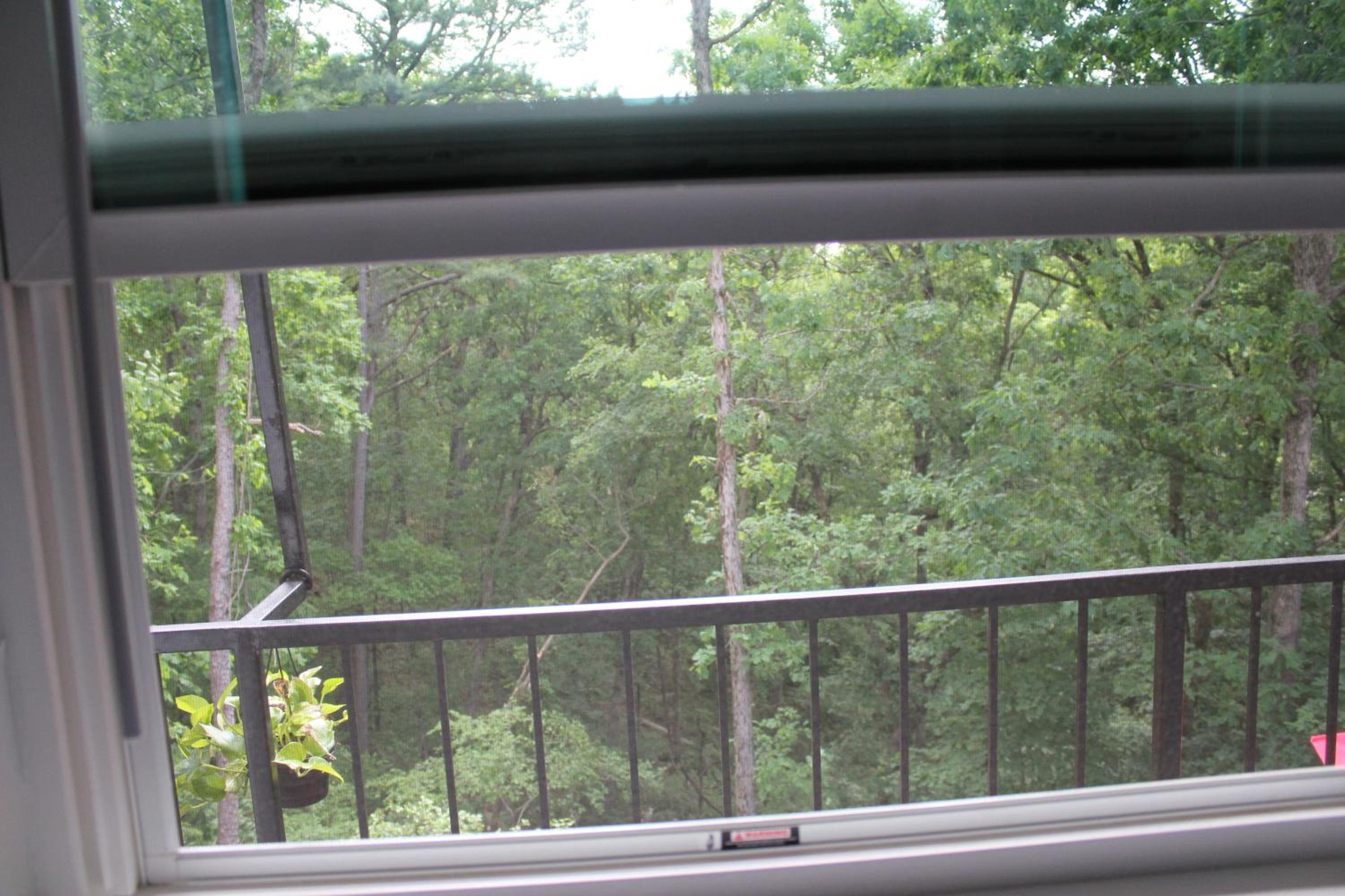 Single Room with Balcony photo 2