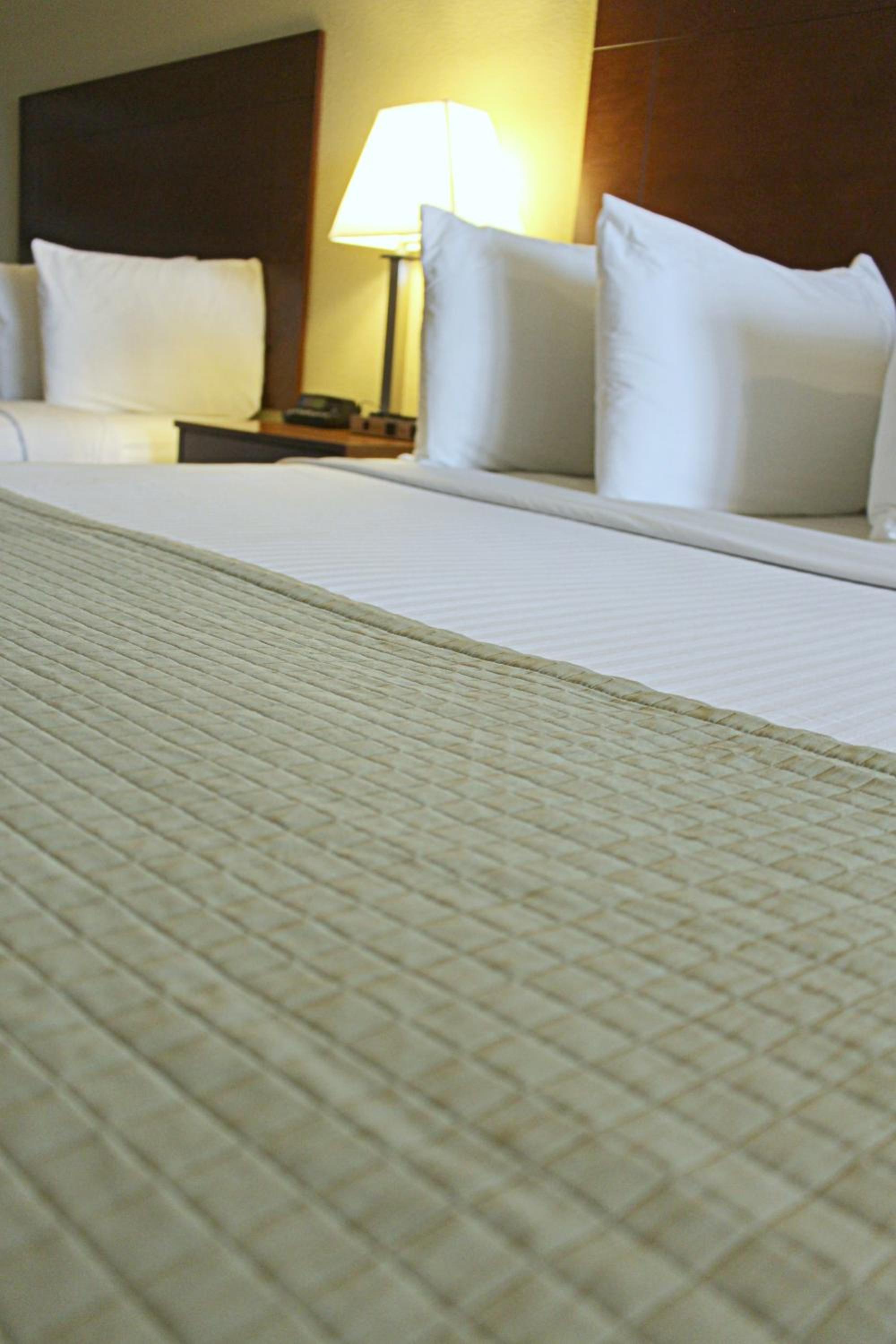 King Room - Photo 3