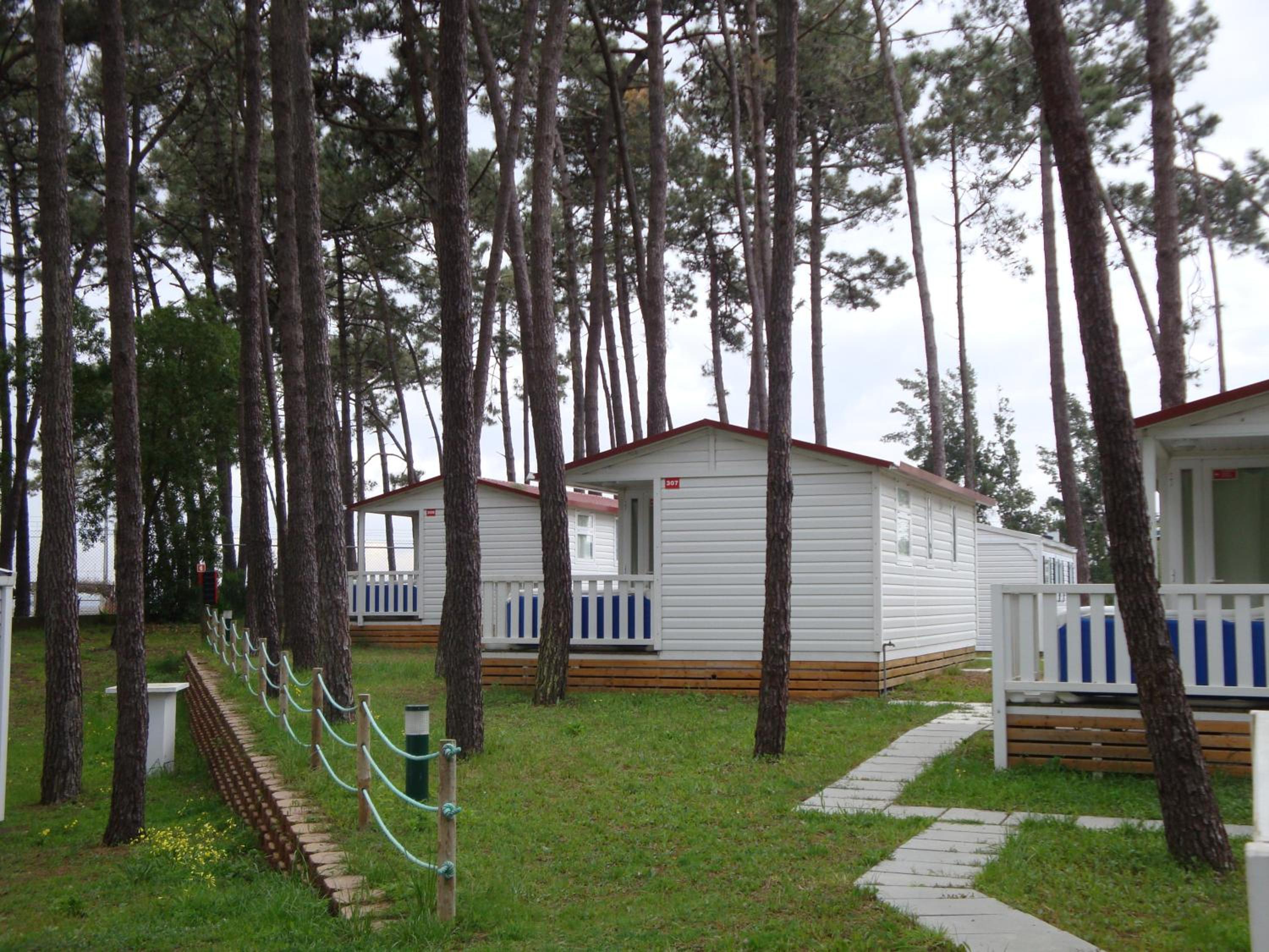 Mobile Home photo 2
