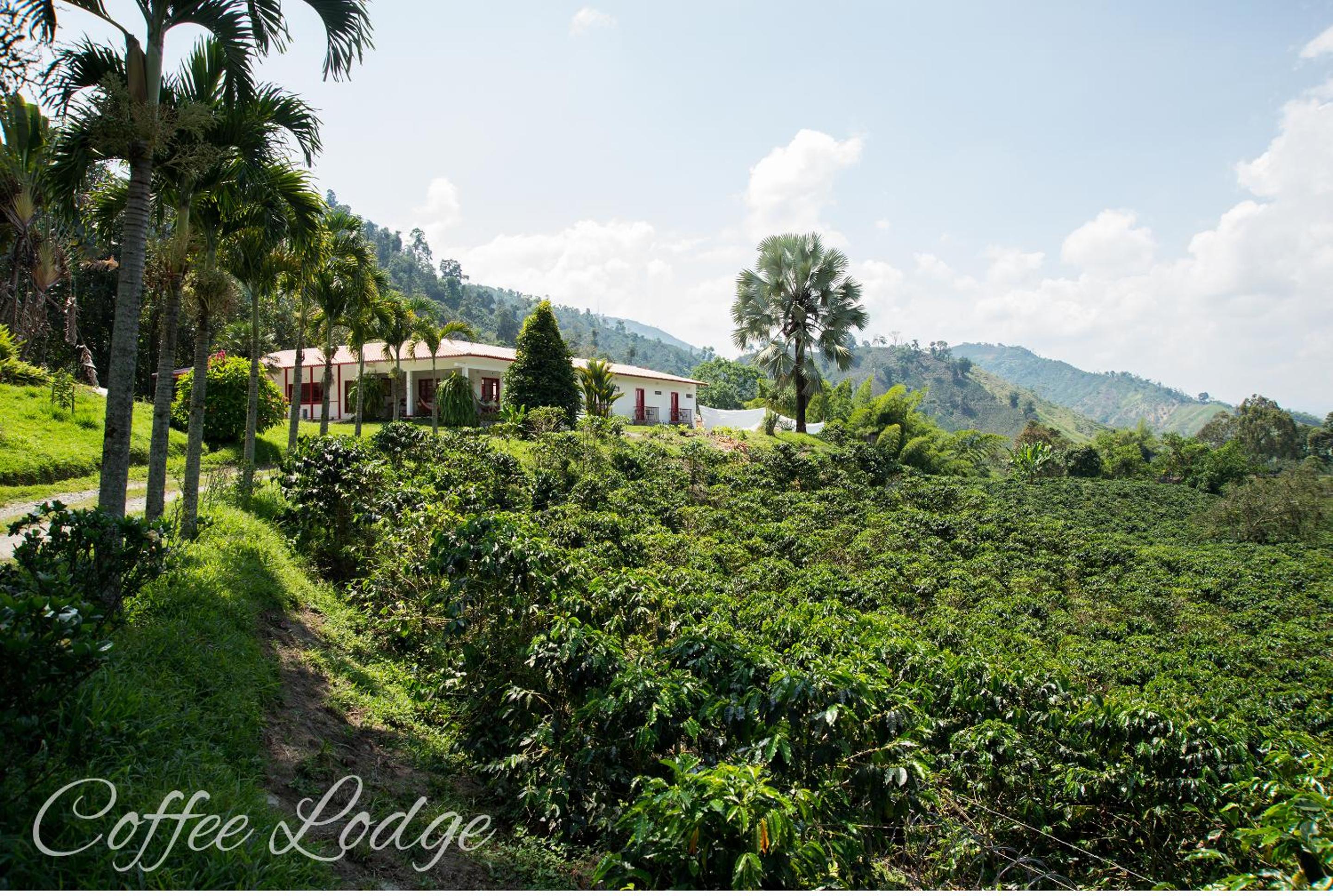 Twin Room with Garden View - COFFEE LODGE photo 3