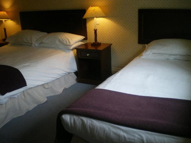 Twin Room photo 1
