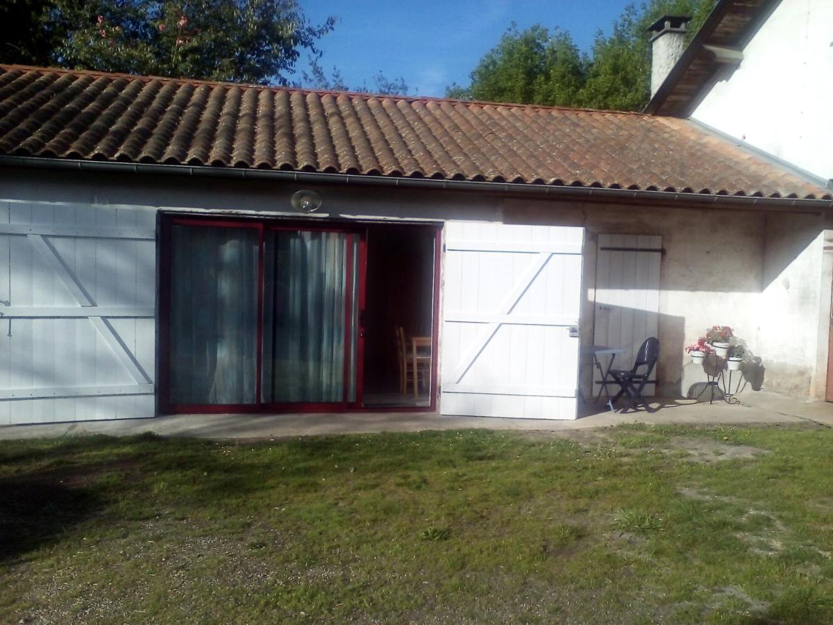 Family Double Room