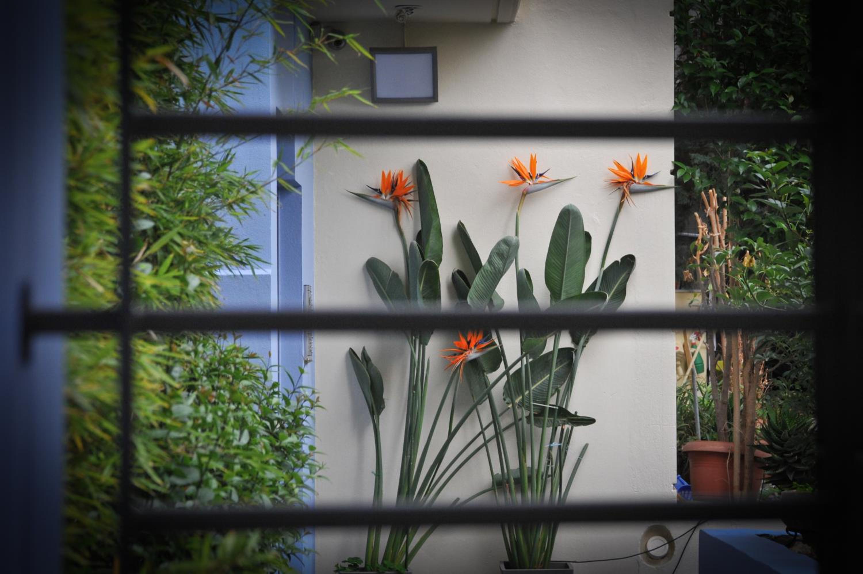 Standard Apartment - Photo 7