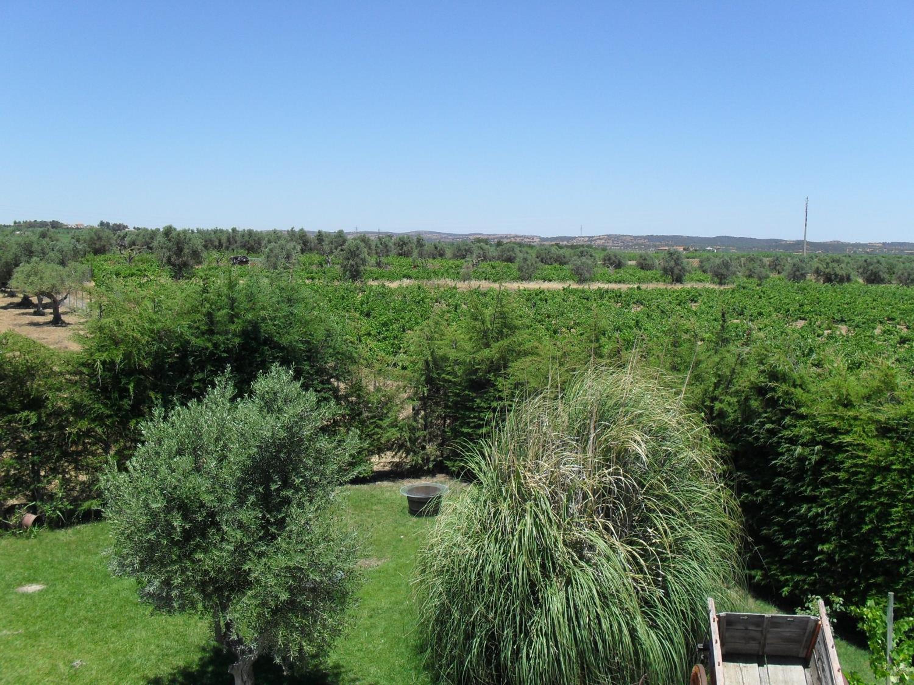 Double Room with Balcony - Photo 8