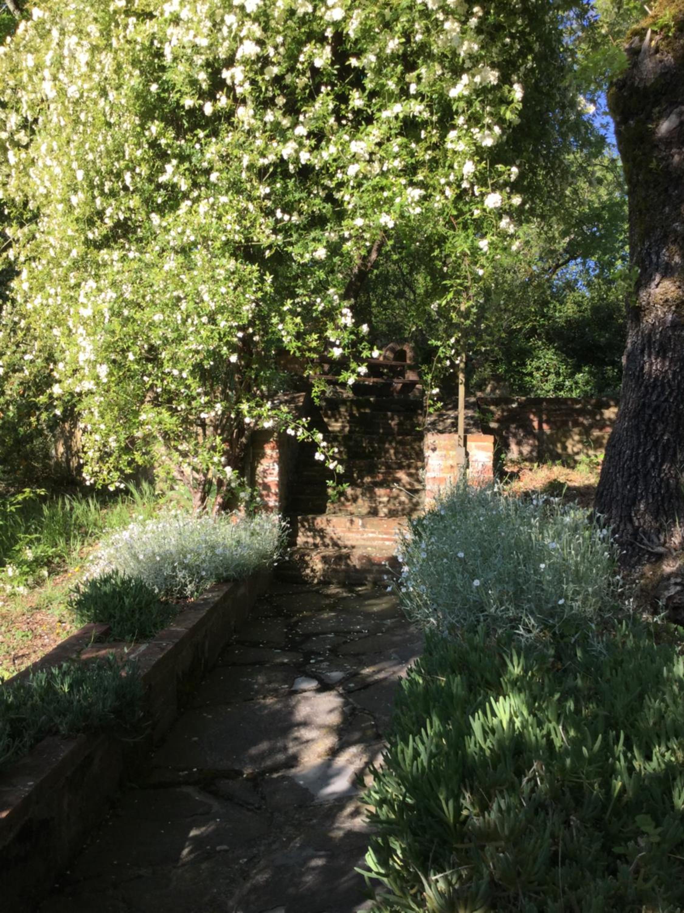 Apartment - Photo 25